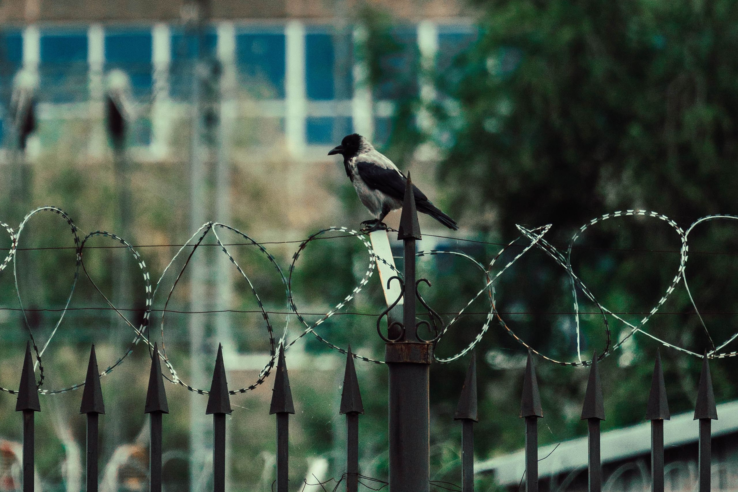 Усть-Каменогорск, Сентябрь 2024