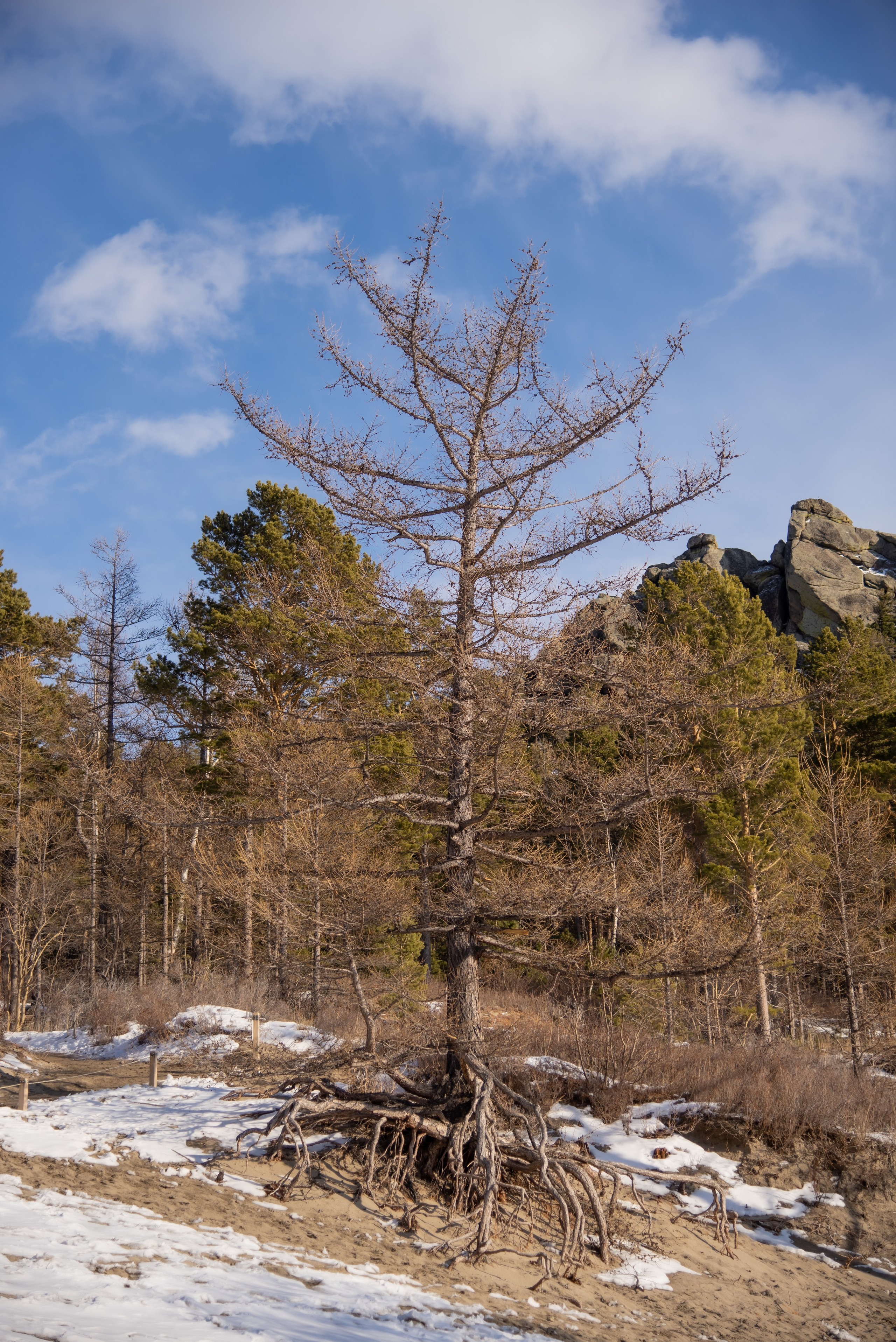 Большое Голоустное. Байкал. Занимаюсь профессиональной фотографией и живу рядом с Байкалом. Работаю в разных жанрах