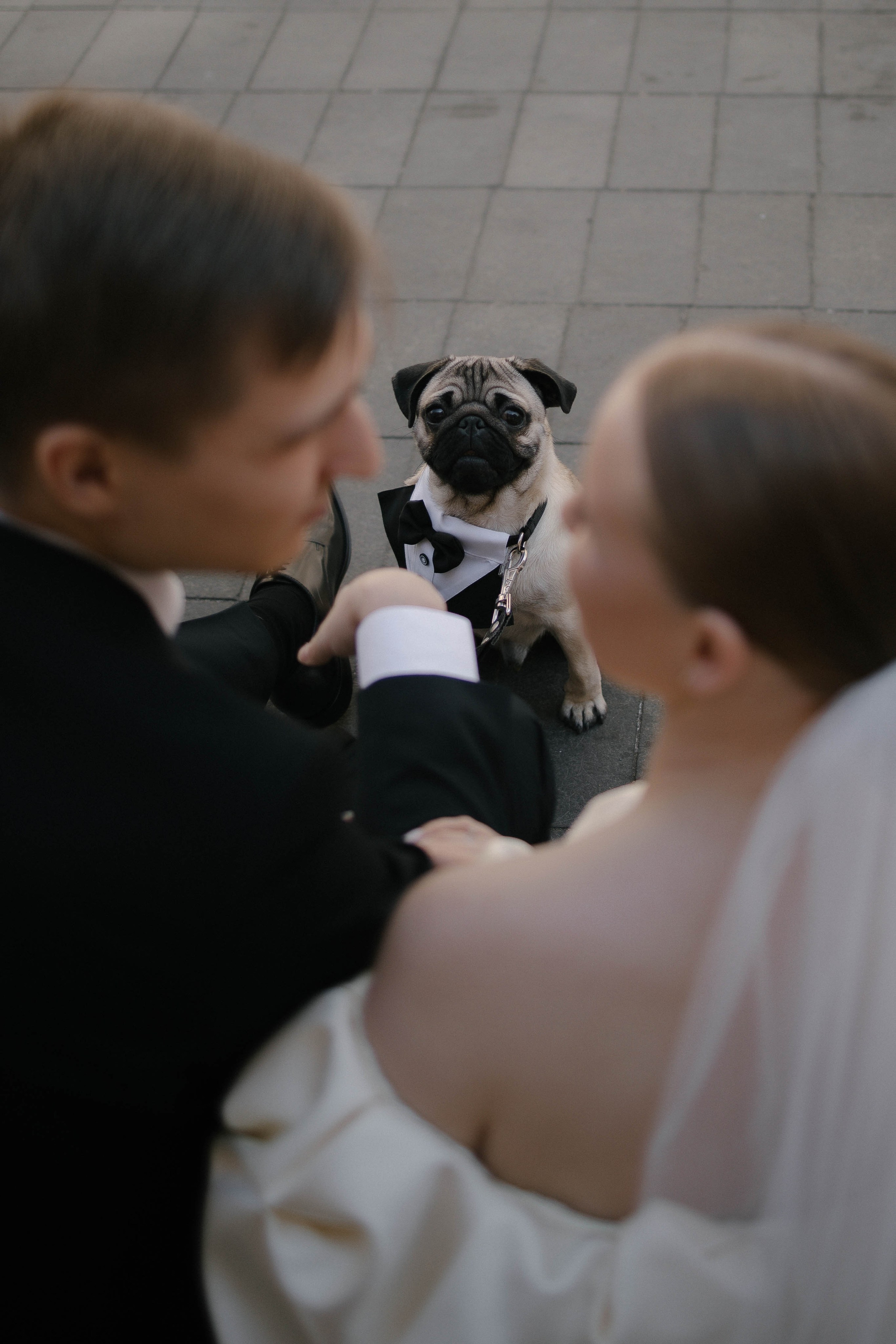 Портфолио. ФОТОГРАФ МОСКВА Диана Коротких