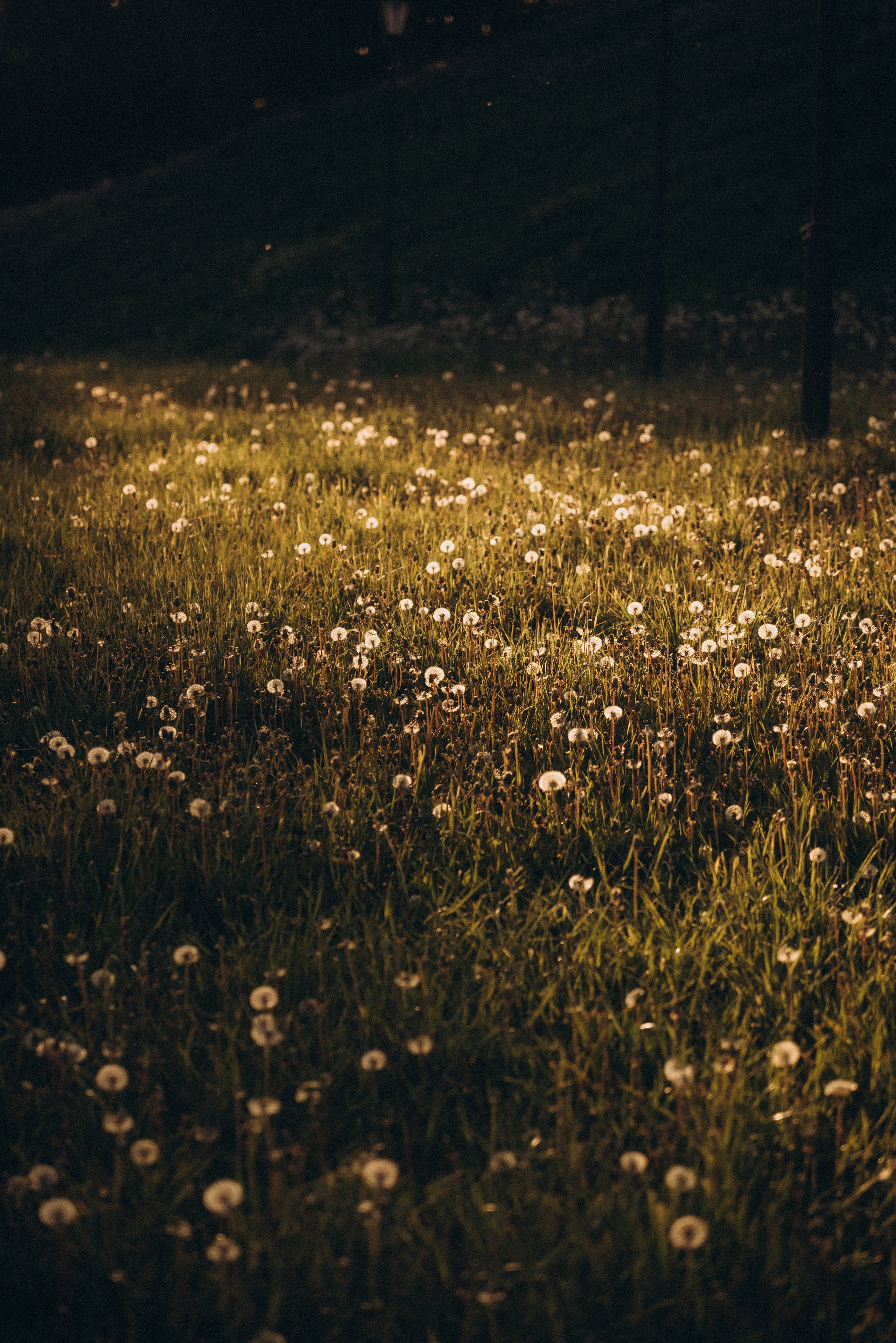 Аня. Суханова Регина Фотограф Сергиев Посад