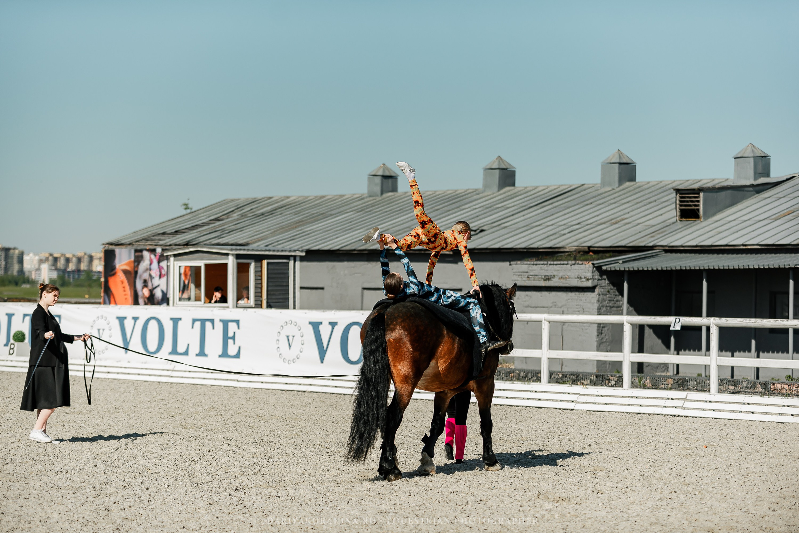 РЕПОРТАЖ МКК ВОЛЬТ «LA TULIPS». Конный фотограф Куракина Дарья • Фотосессии с лошадьми