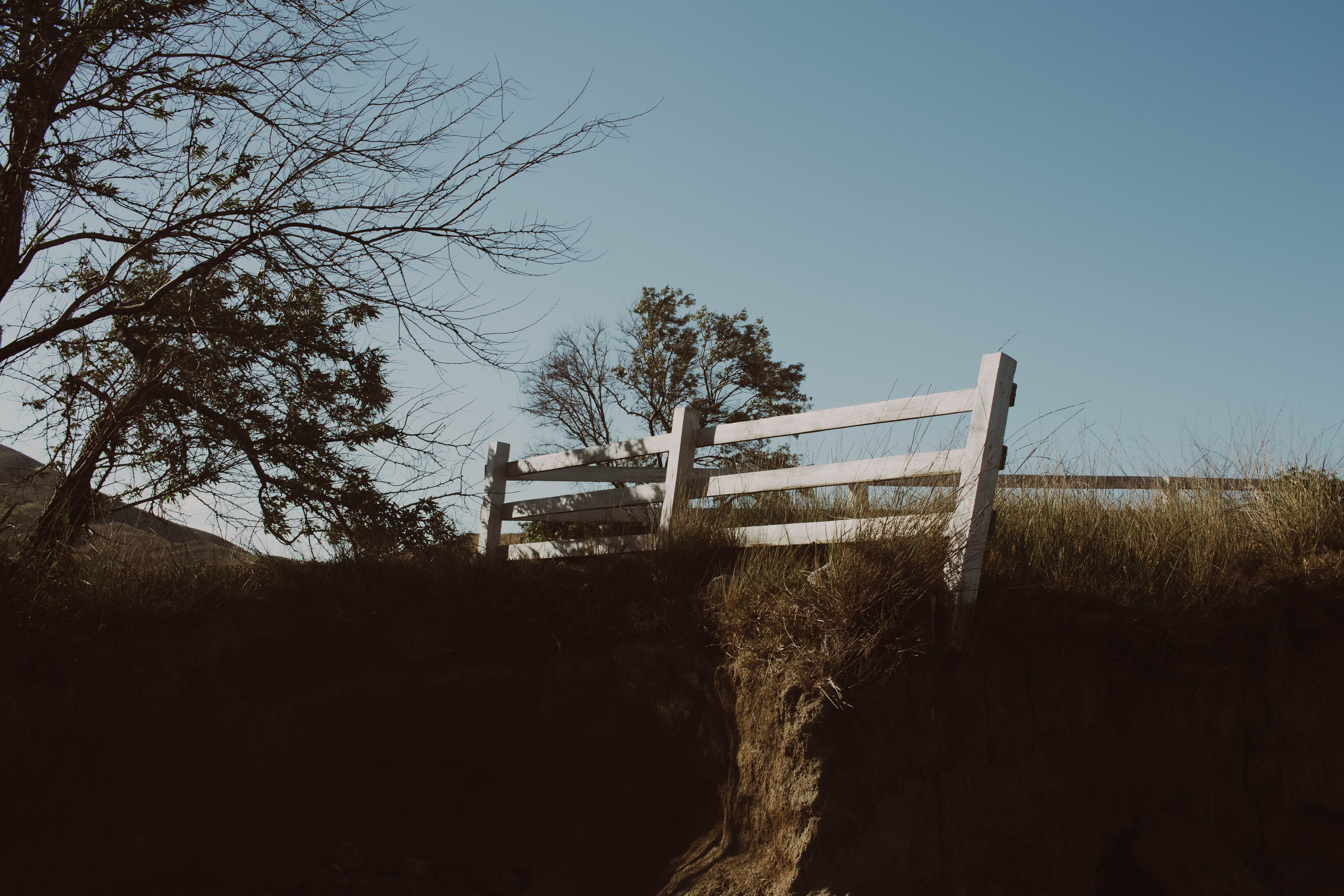 ПРИНТЫ. Виктория Князева| фотограф из Санкт-Петербурга