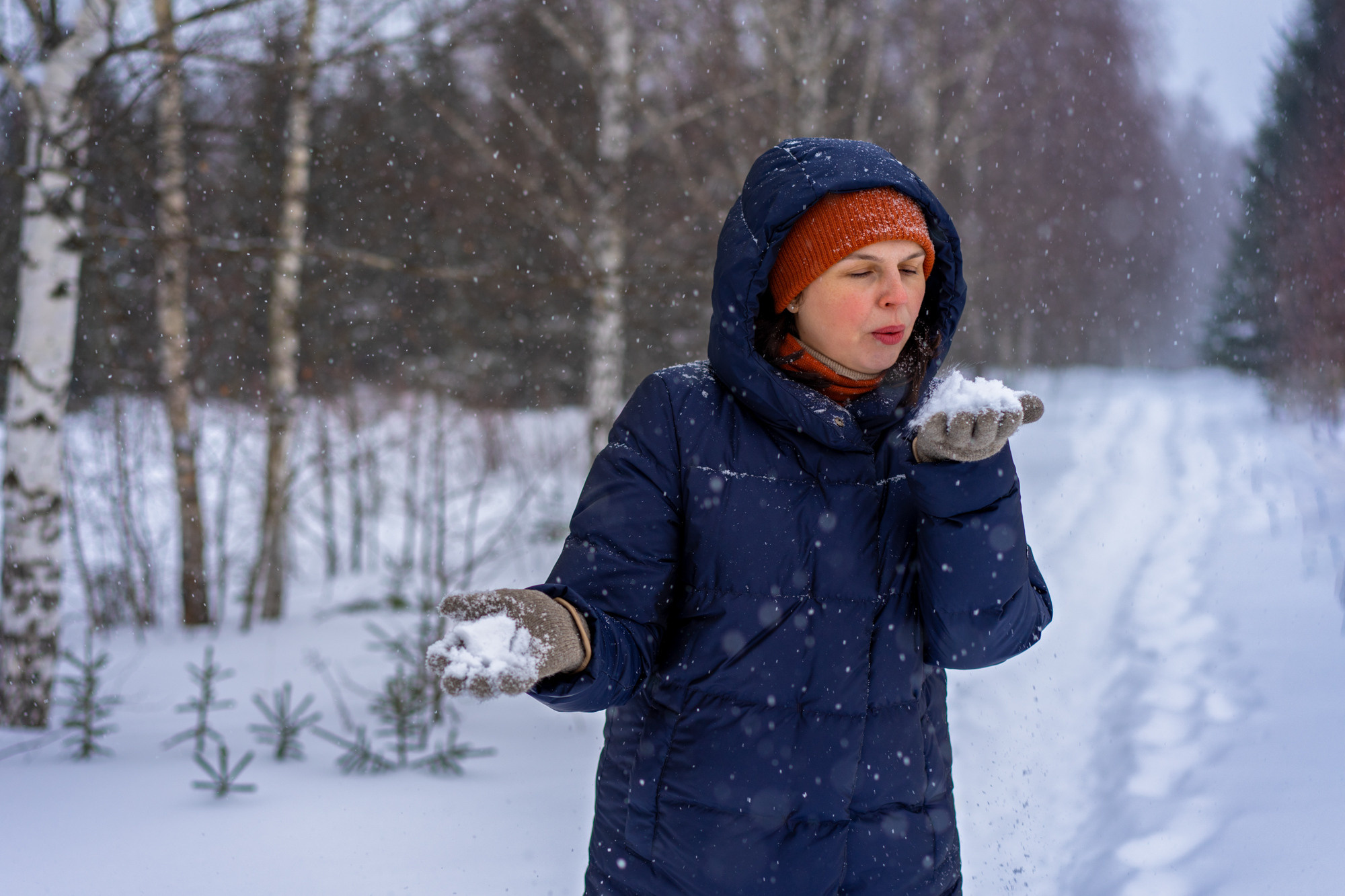 Усадьба Шахматово. Зима, зима!