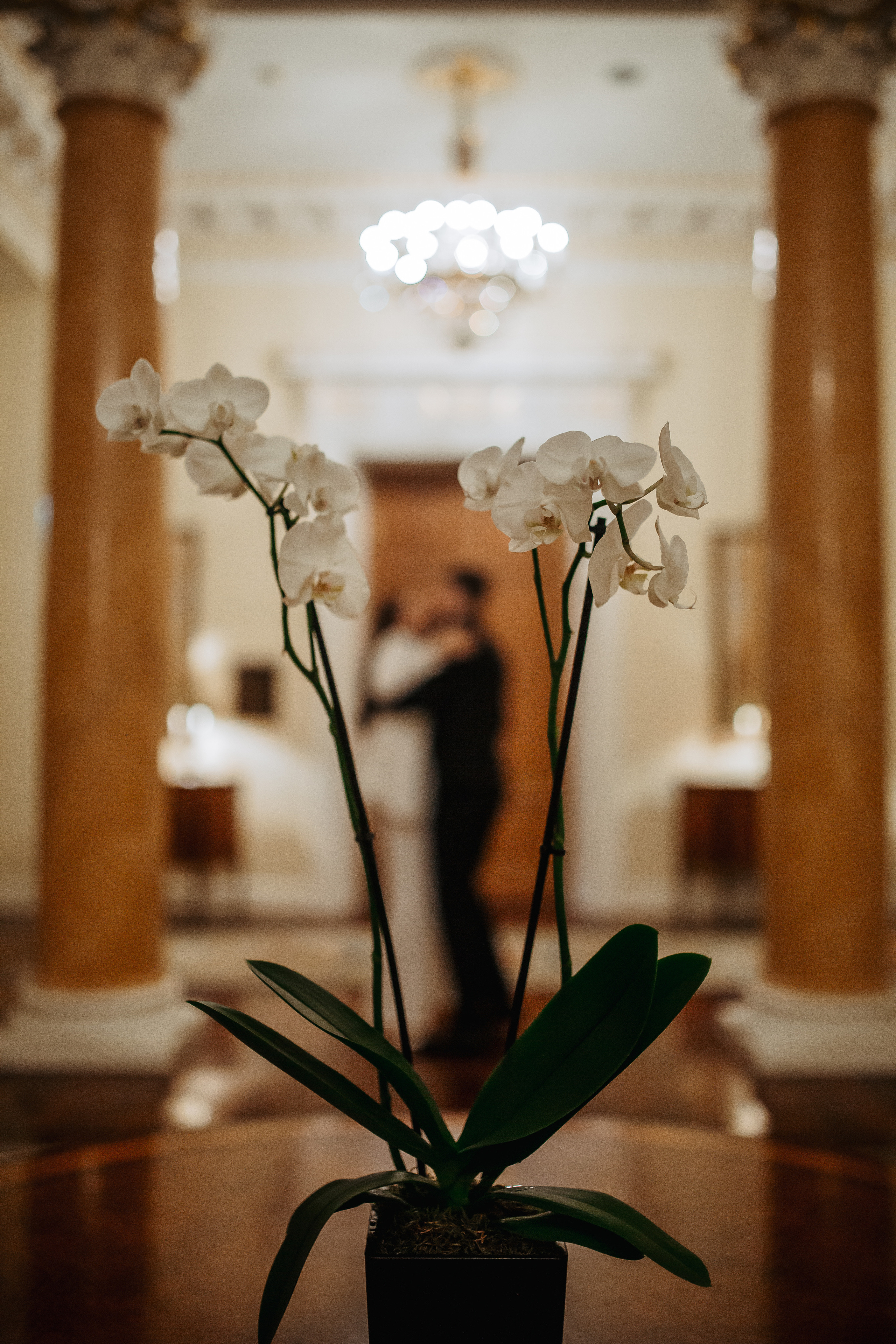 Арина & Никита. Семейный и Свадебный фотограф в Санкт-Петербурге Плохая Екатерина