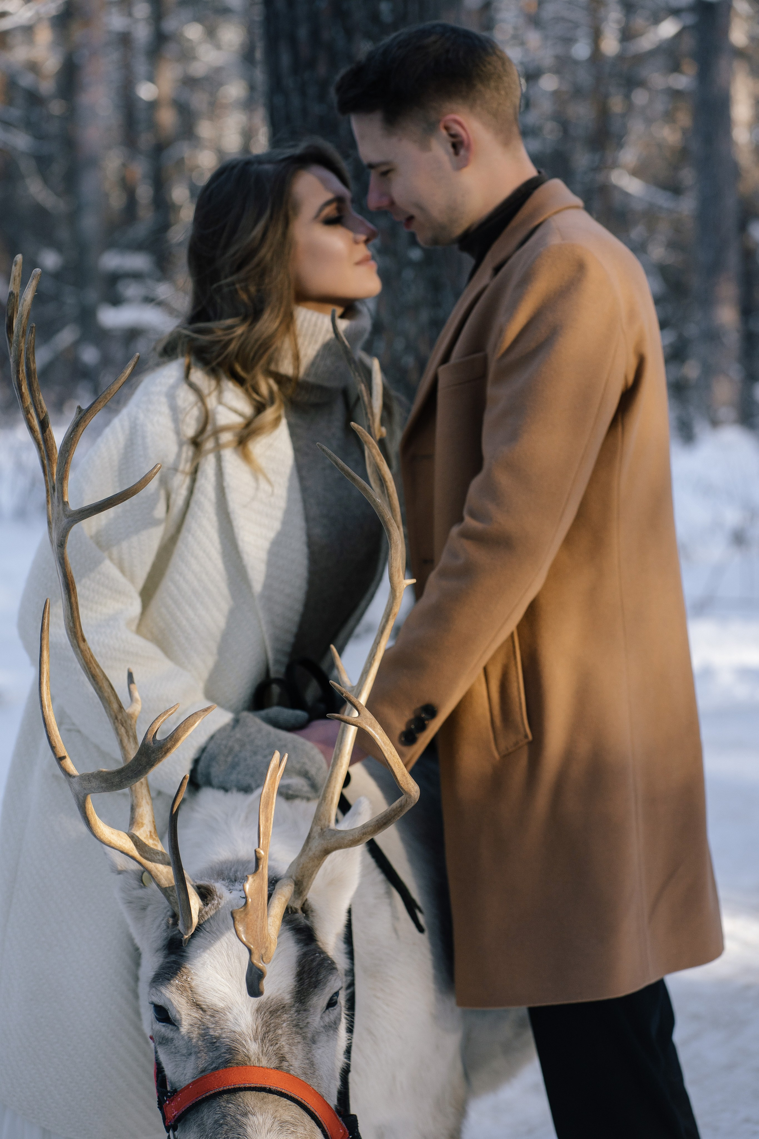 Артем & Кристина. Свадебный фотограф в Санкт-Петербурге — Евгения Лютоева