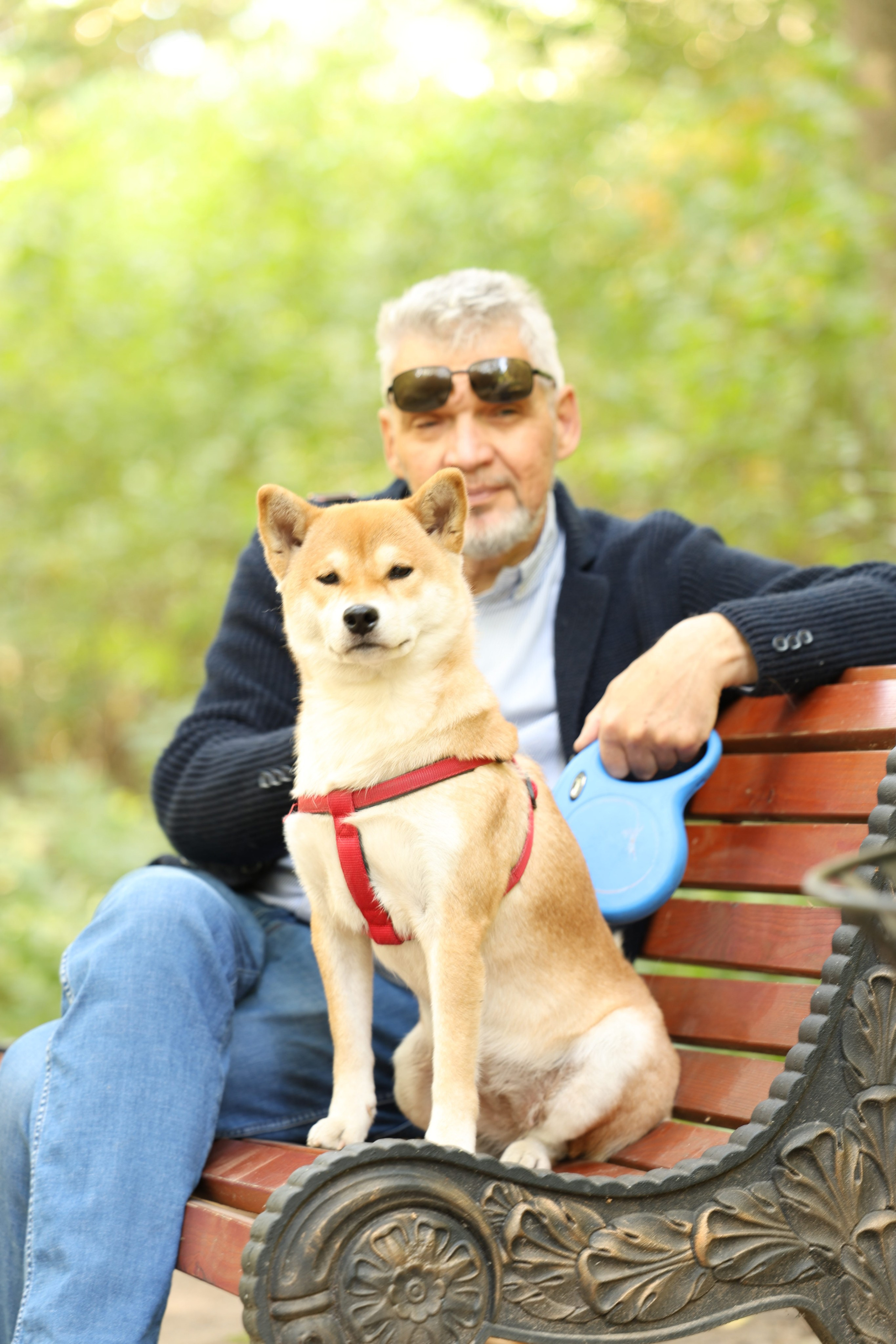 Алена и Бора. Виктория Михайловская. Фотограф-анималист. Москва