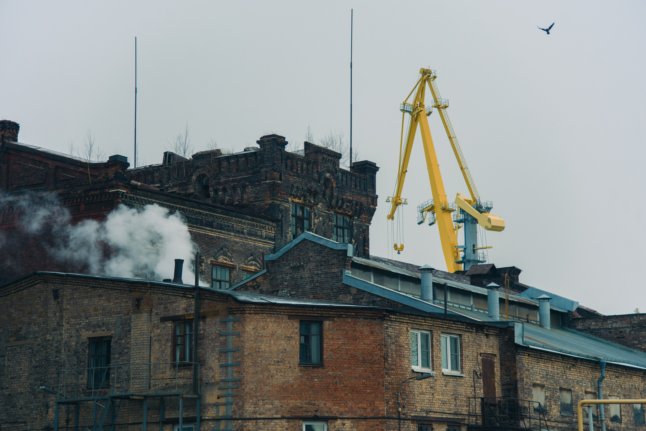 Репортаж — Разное. Наталия Март | Фотограф СПб