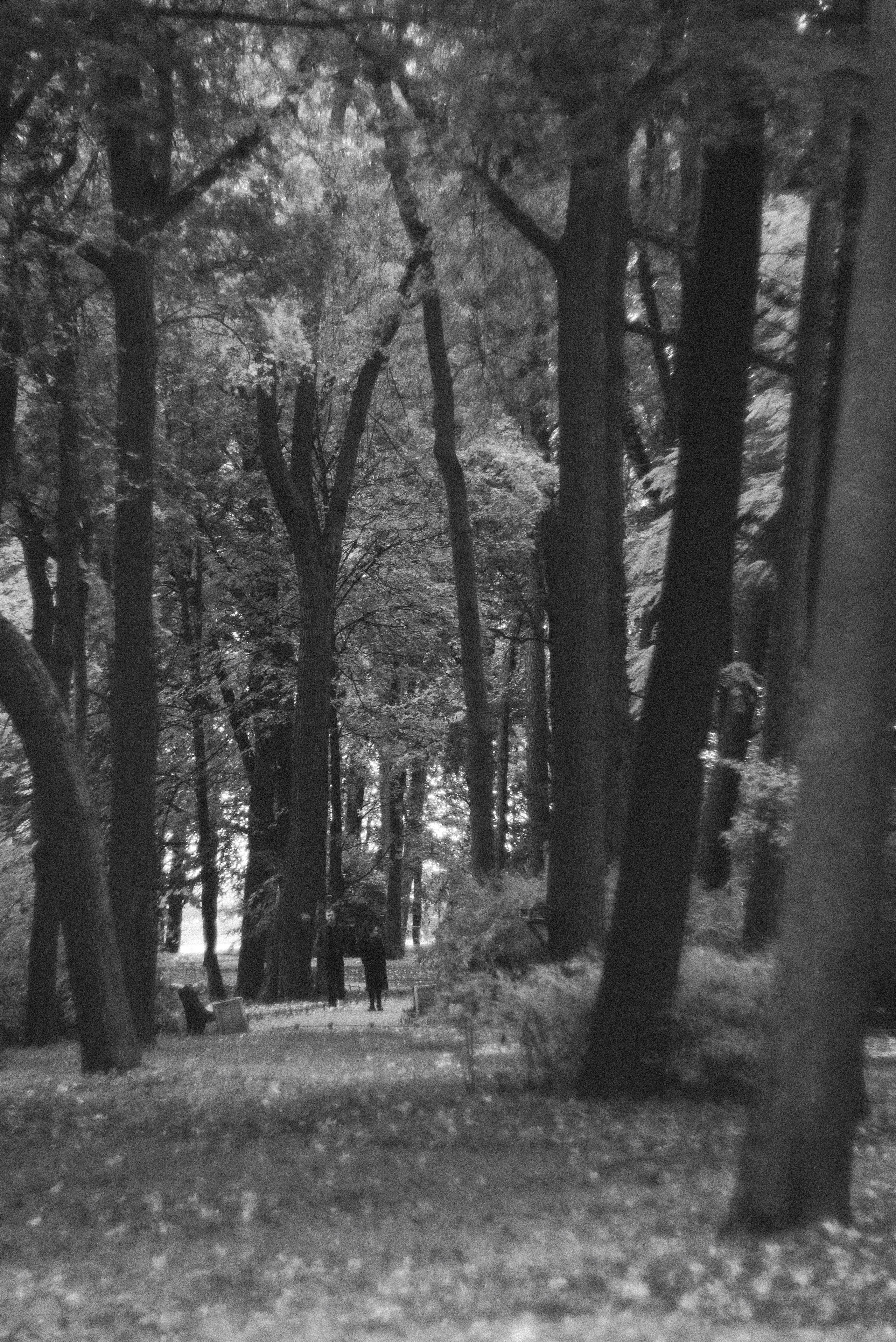 Autumn. Свадебный фотограф Санкт-Петербург DanyaPhotoart