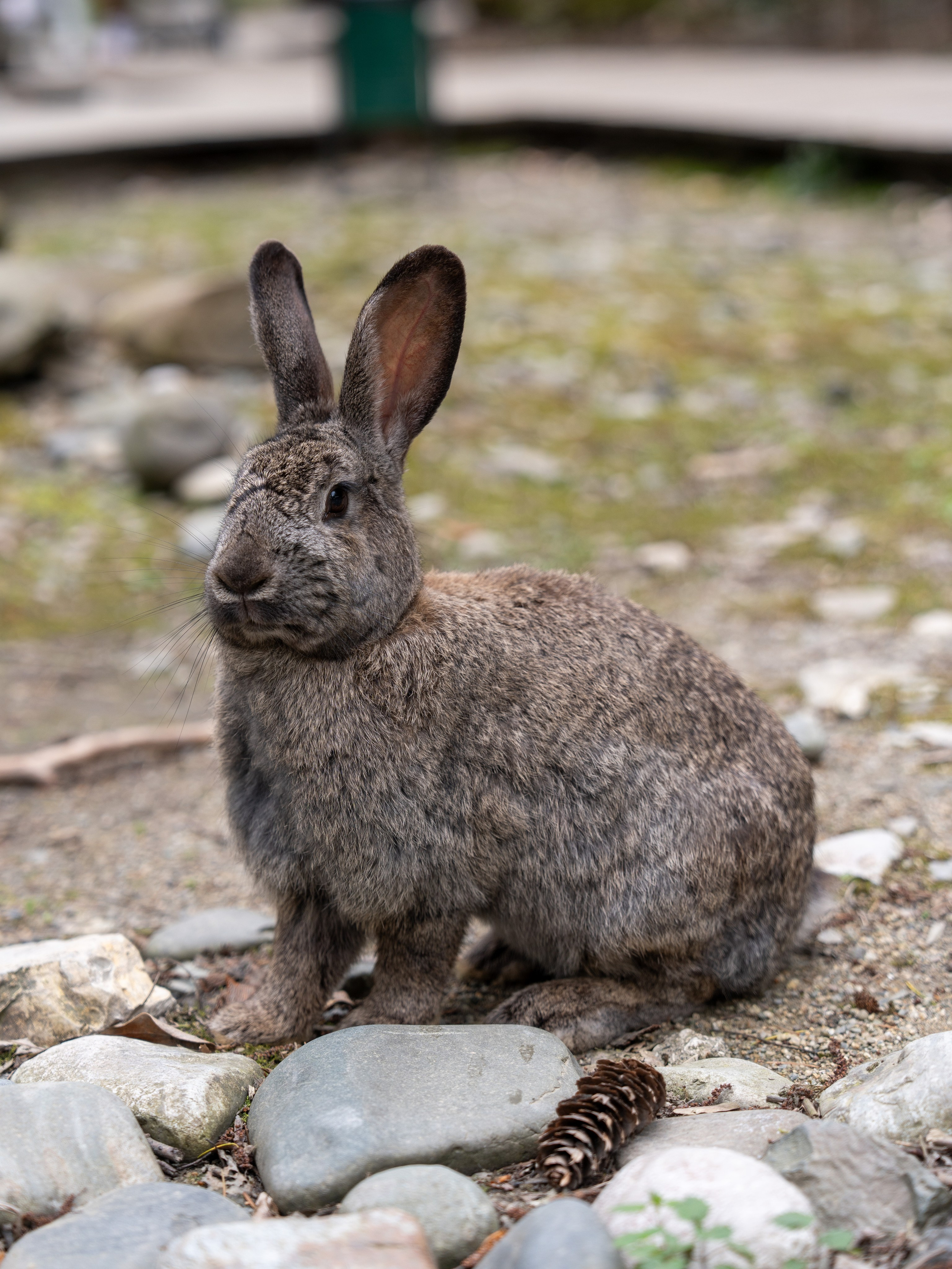 MICE мероприятие — джиппинг на каньон Псахо. Репортажный фотограф в Красной Поляне и Сочи Павлюченко Екатерина