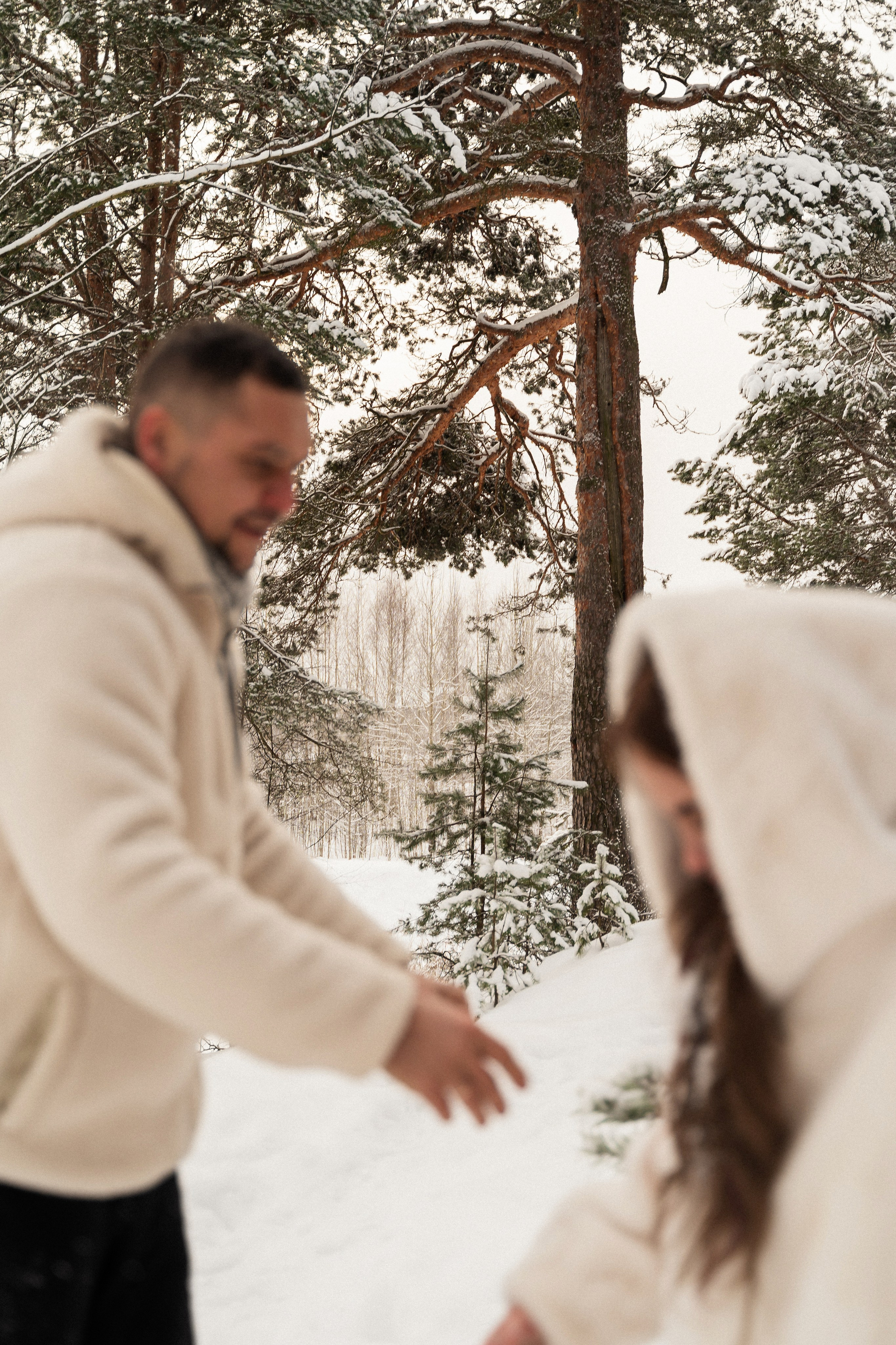 Зимний лес. Фотограф Алина Филимонова Тверь