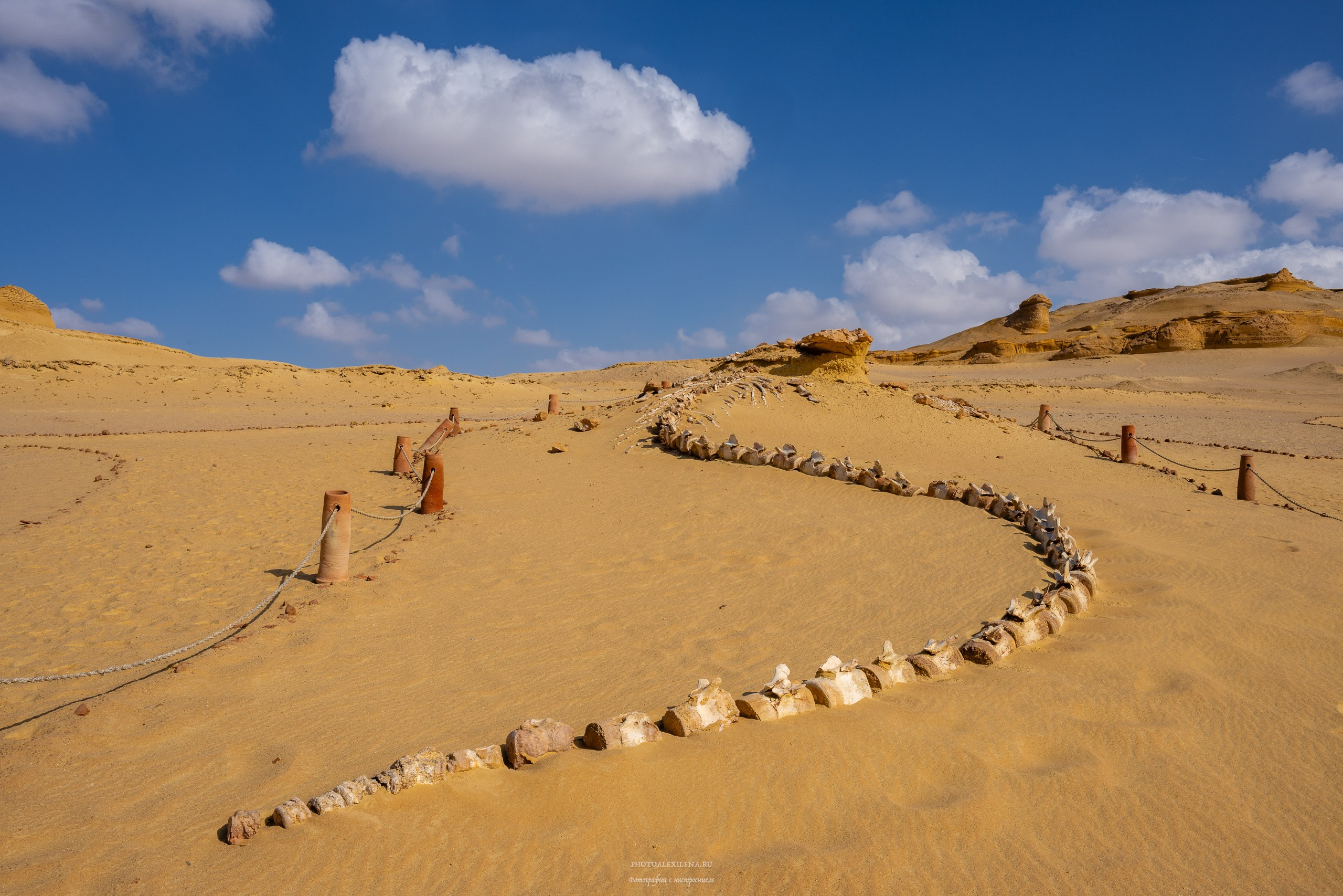 Пейзажная фотография. Авторские стильные фотокартины