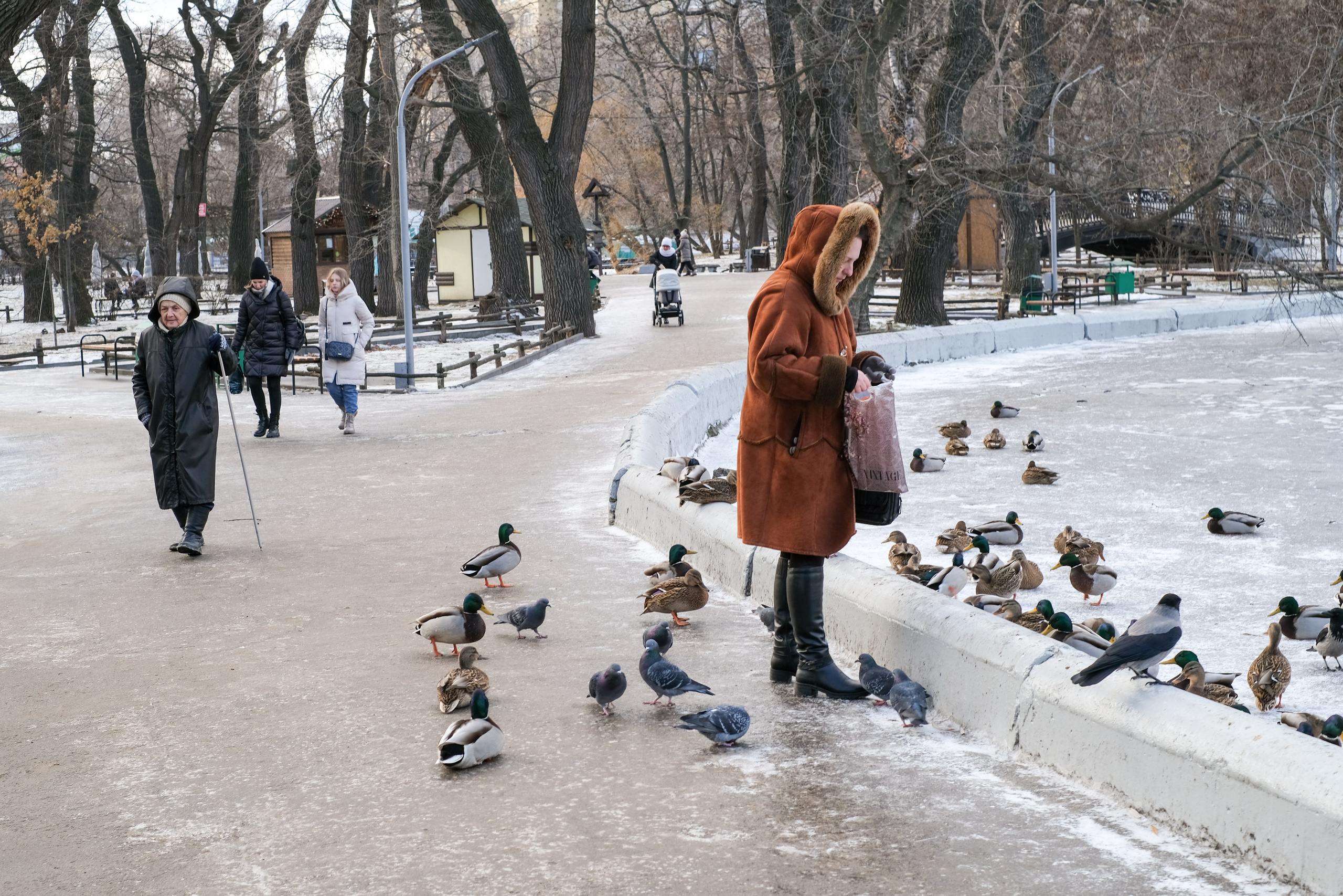 Саратов. Фотограф Дмитрий Алексеев