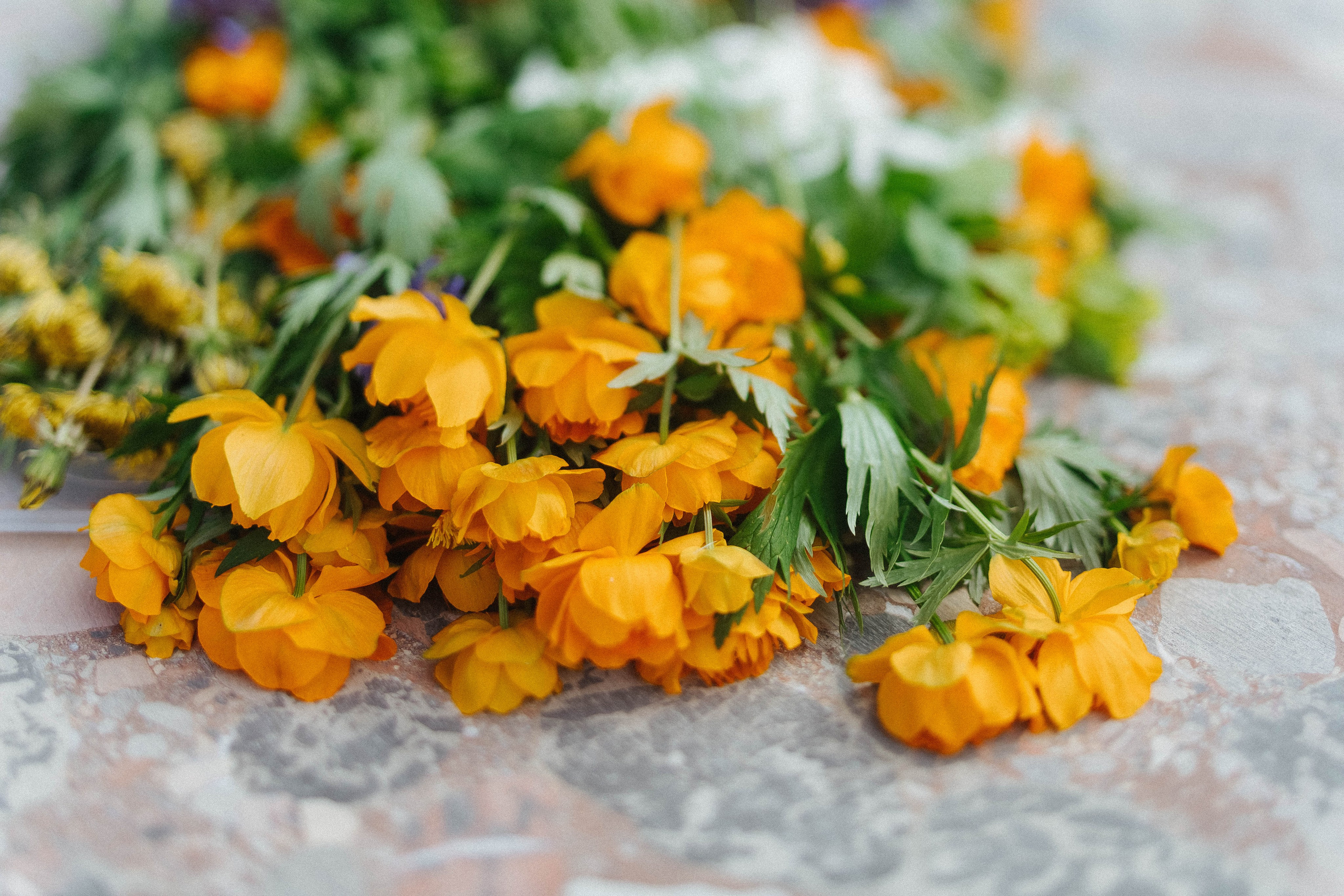 Дикий ужин. Фотограф в Красноярске Надежда Воскресенская