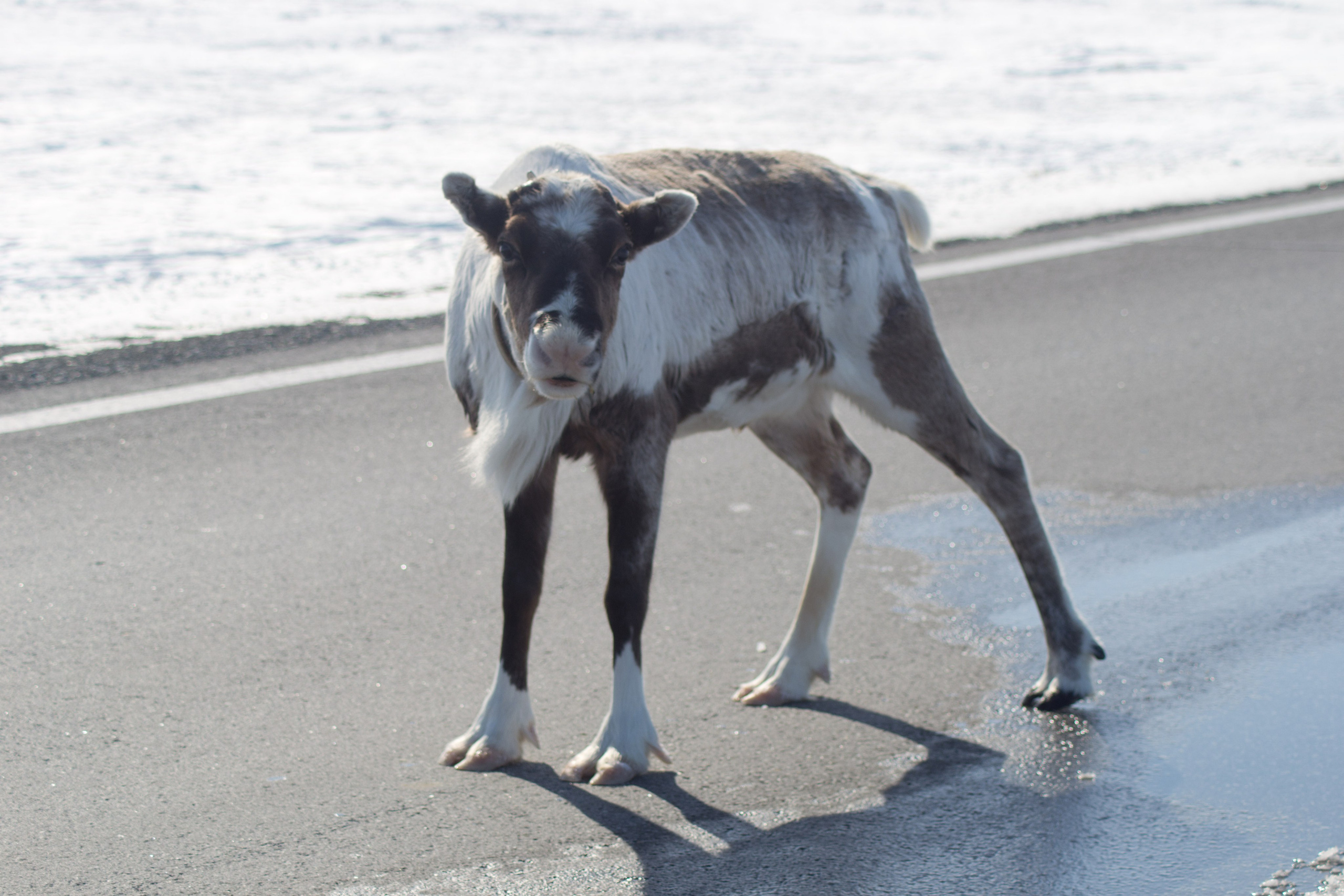 Вокруг нас. Фото — видео Тюмень