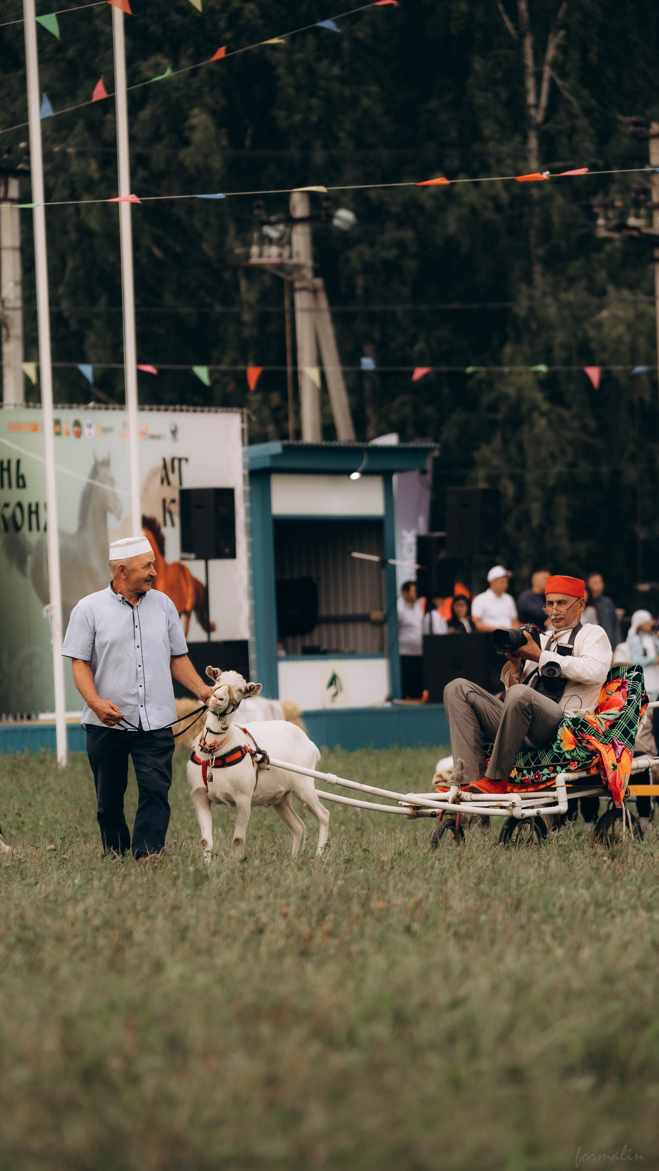День Коня. Алиса Никитцова | Фотограф в Казани