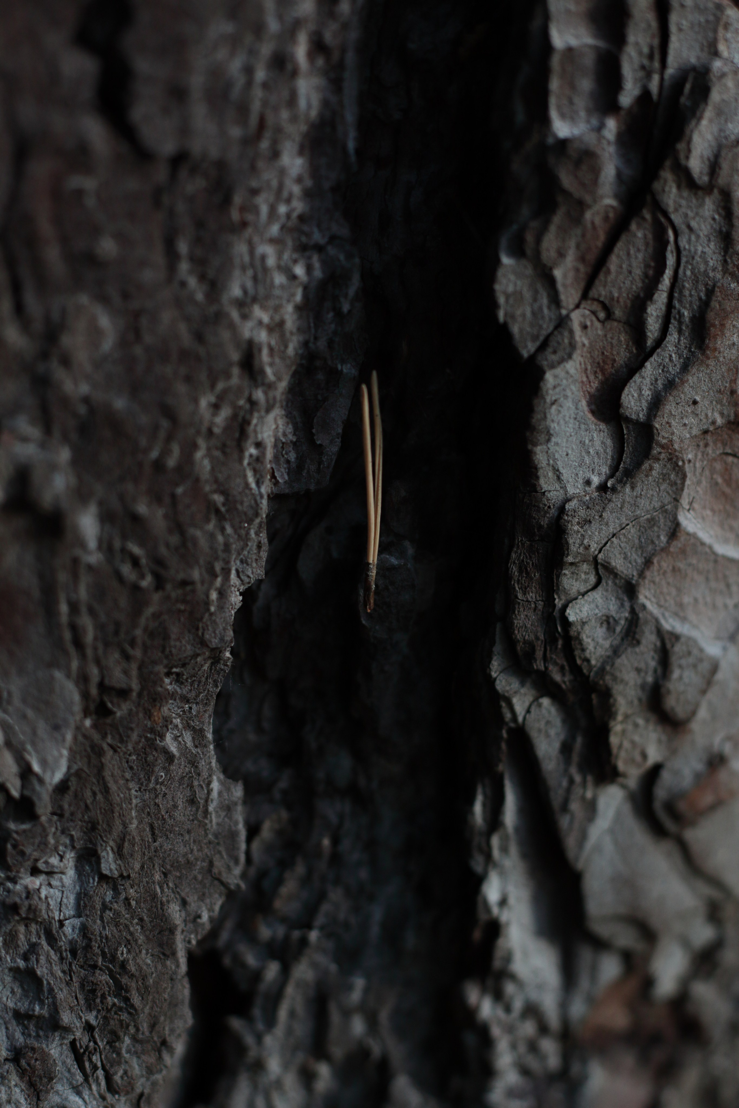 Старое природное, отбирала Katamount (Катерина Горохова). Главная