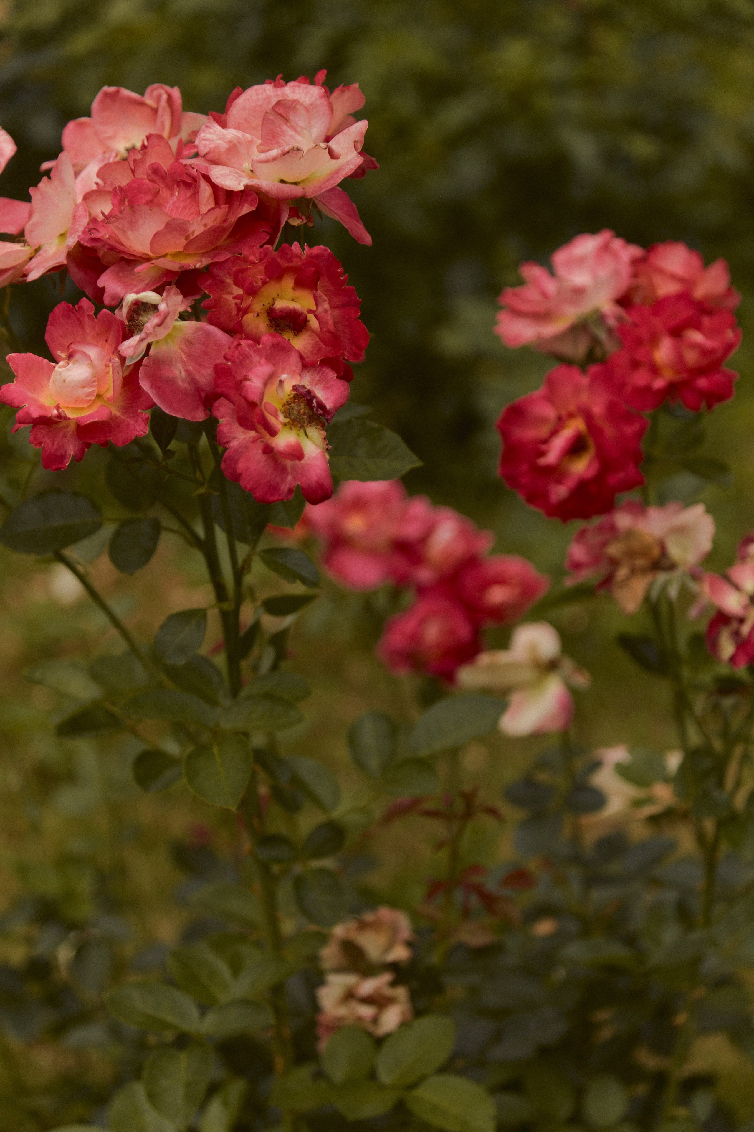 Ася. Egor Plakhotin Photography