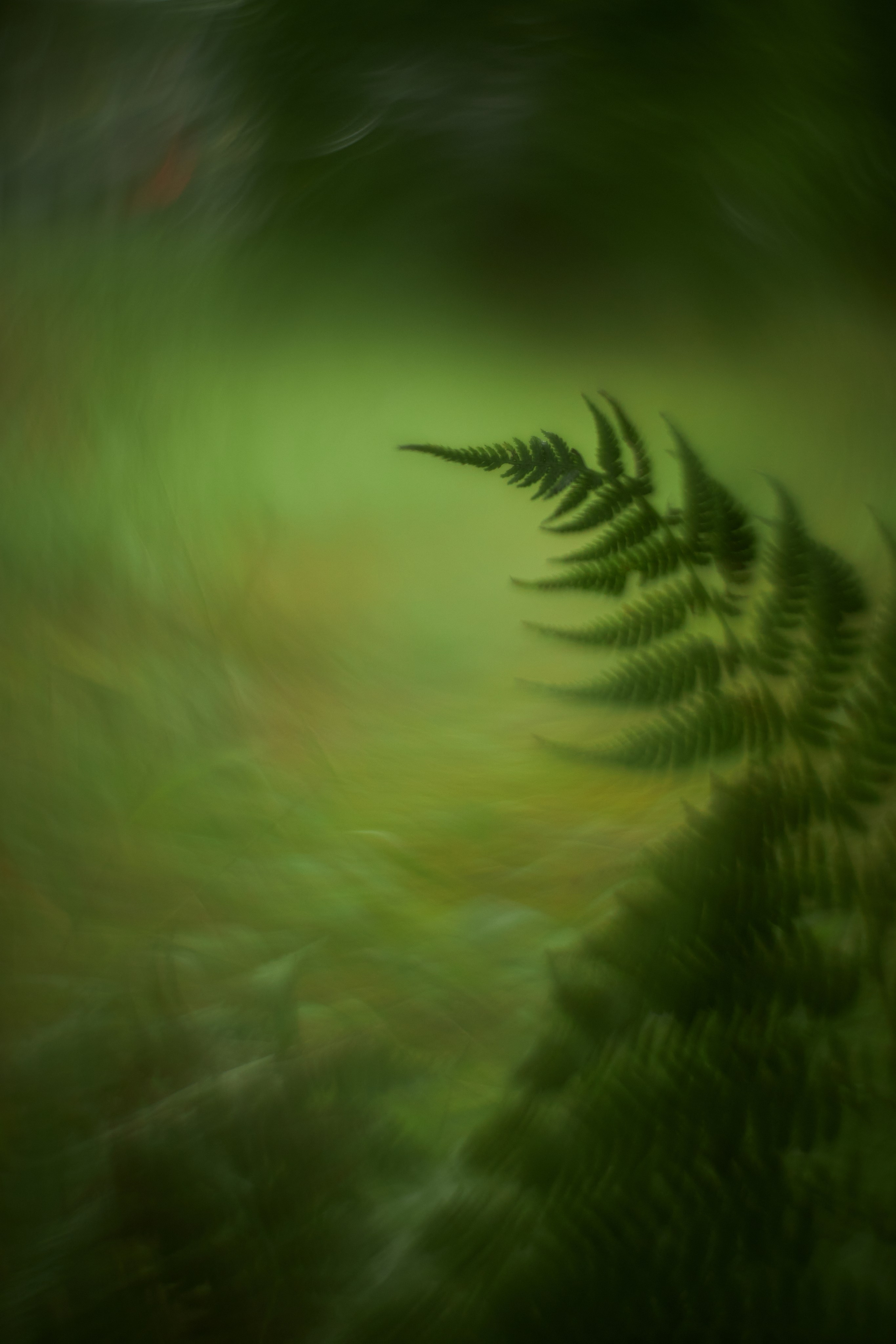 «Незримые Миры». Арт-фотограф во Владивостоке Дмитрий Осипчук