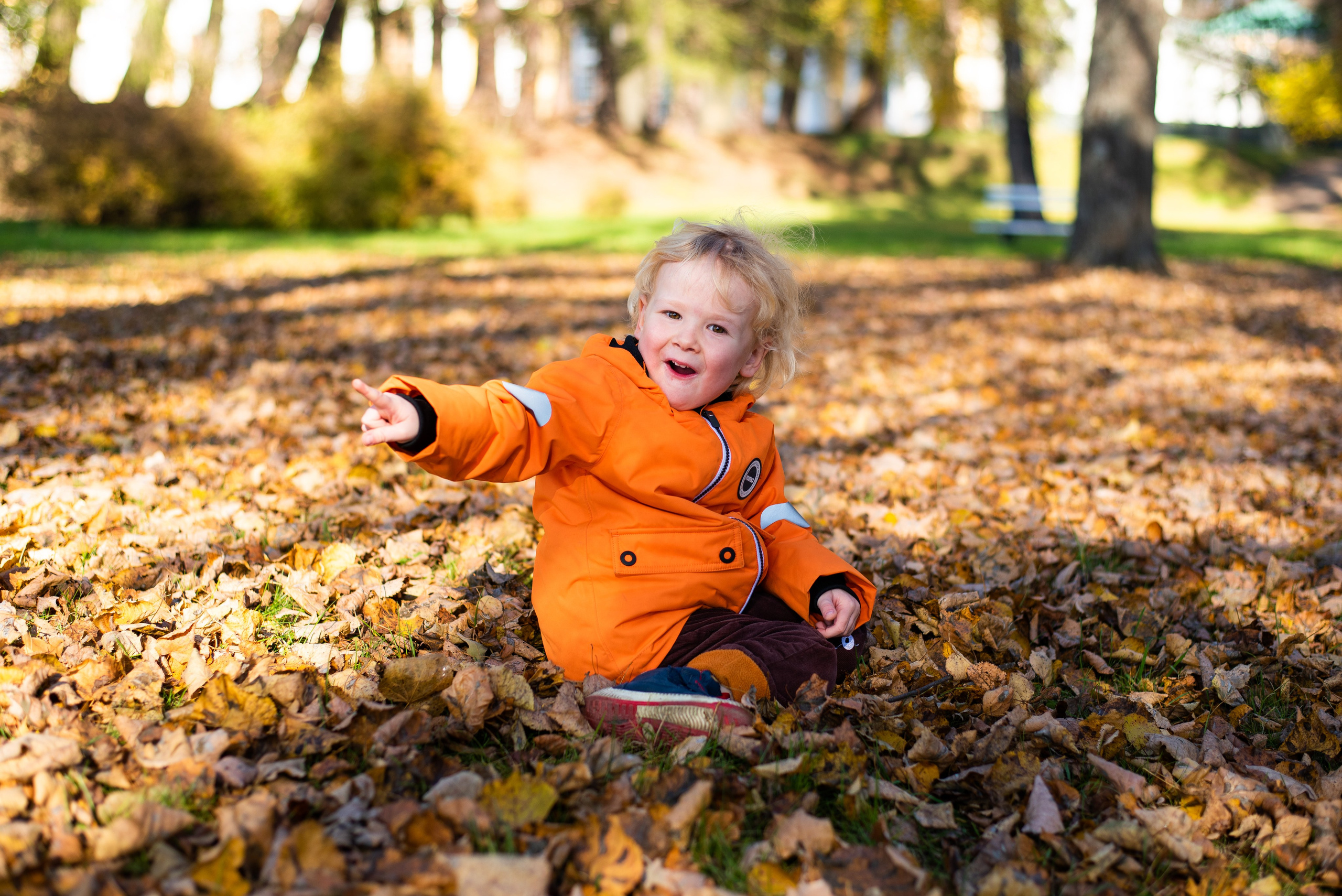 Прогулки в парках. Фотограф в Москве, Красногорске Анна Силицкая