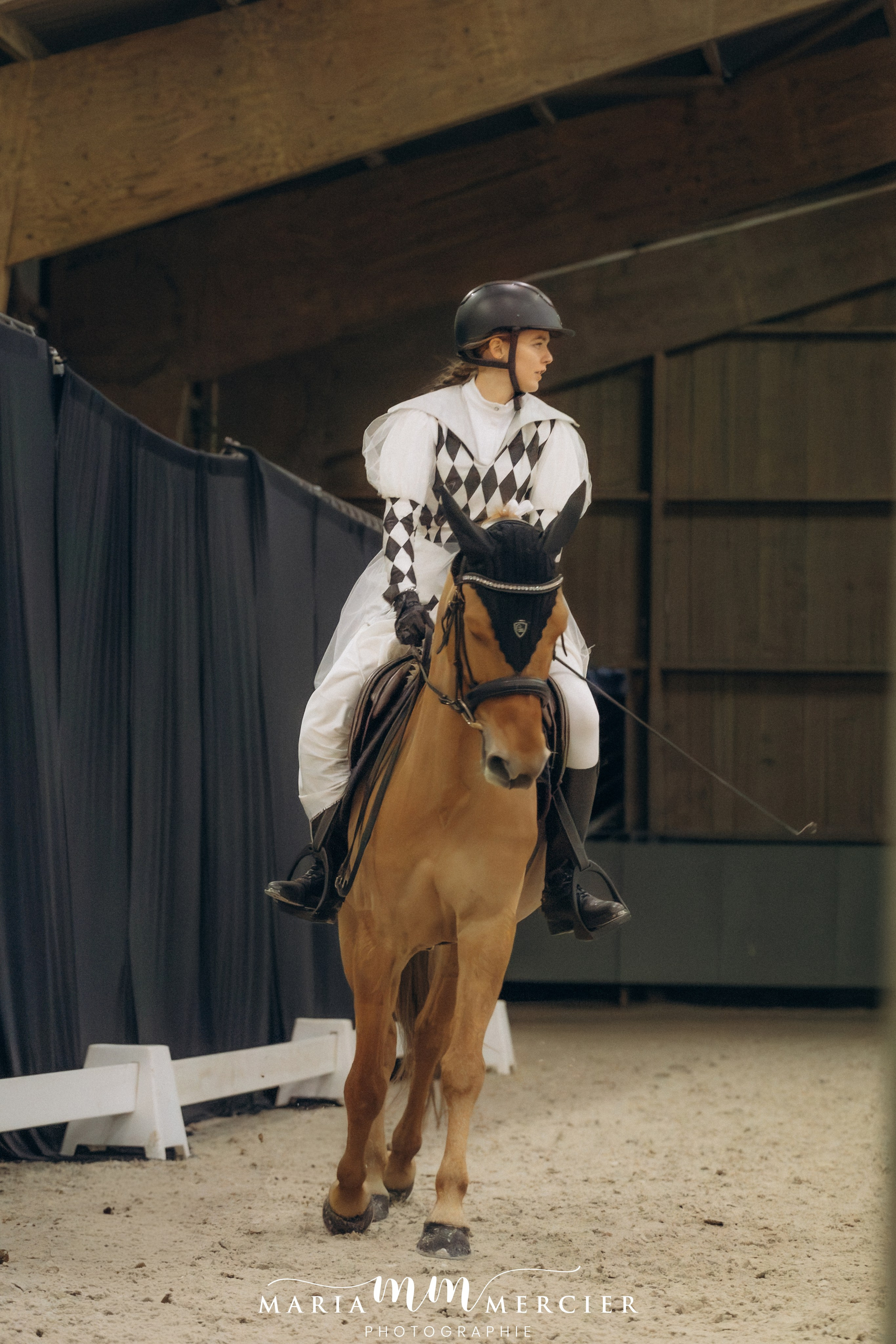 Evènements. Photographe des familles et enfants à Nantes et alentours