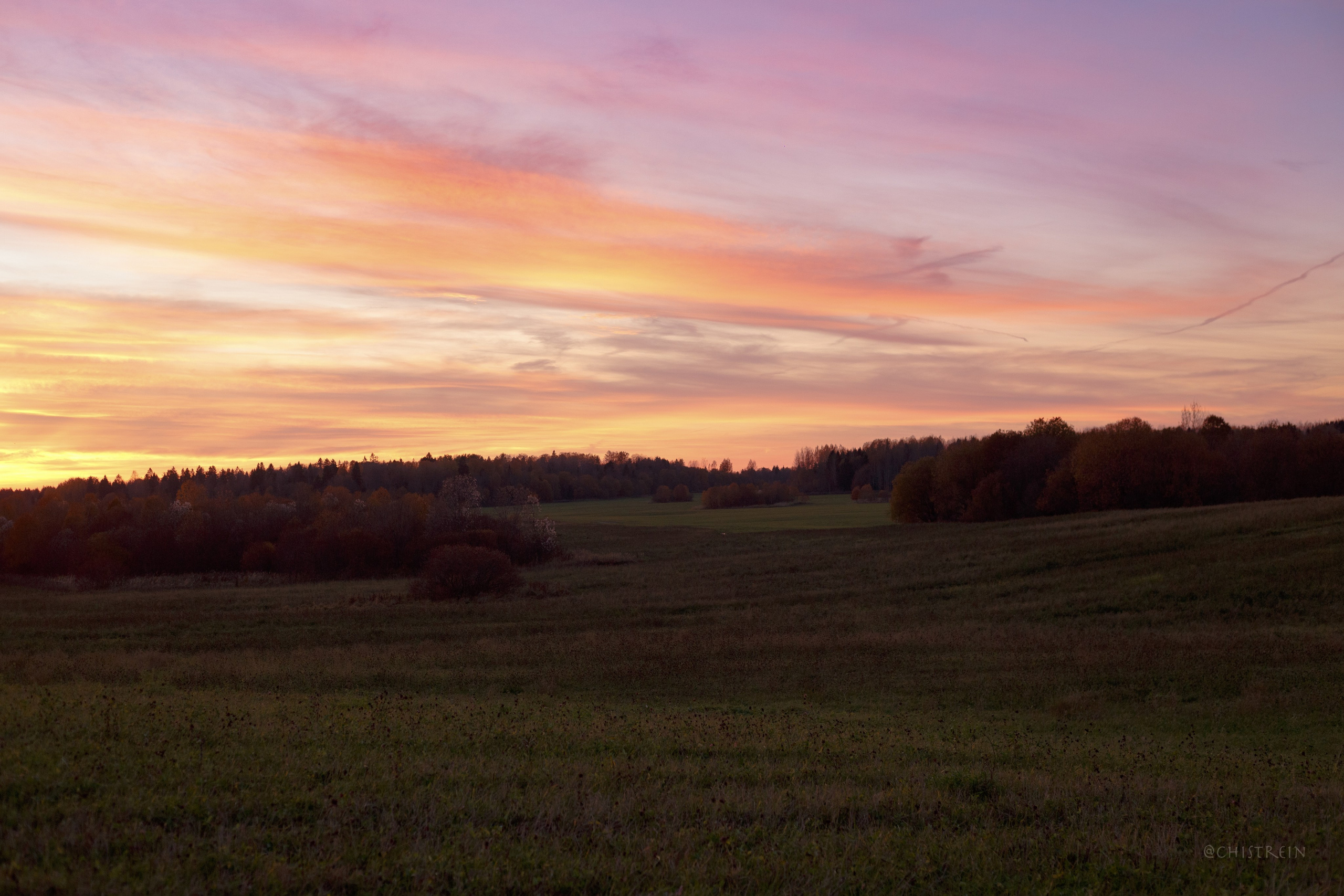 Октябрьский закат в полях. Алина и Лео. Фотограф-анималист Наталия Чистюхина в г. Сосновый Бор и ЛО