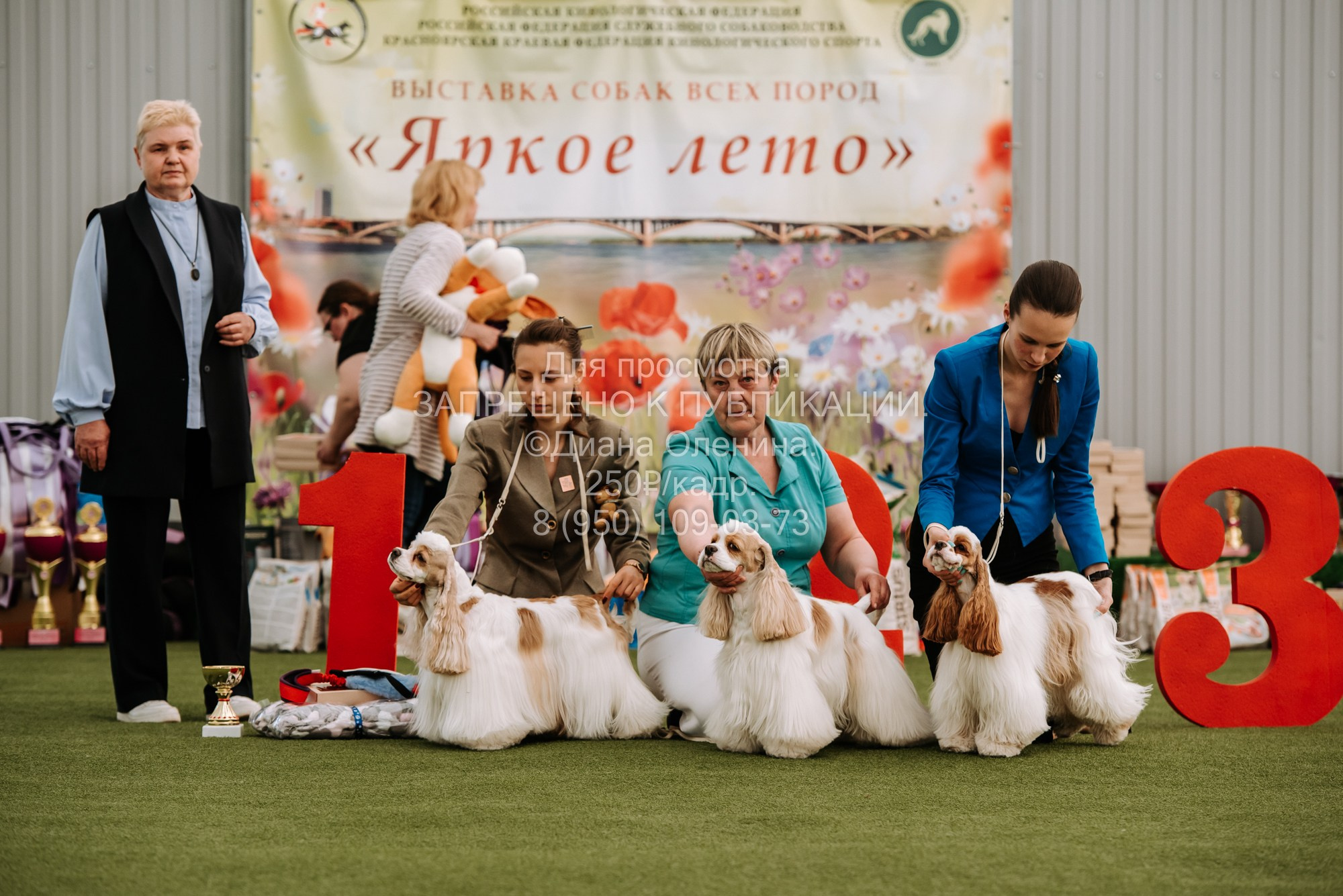 Выставка собак Красноярск 2.06. Фотограф Диана Оленина Красноярск / Братск