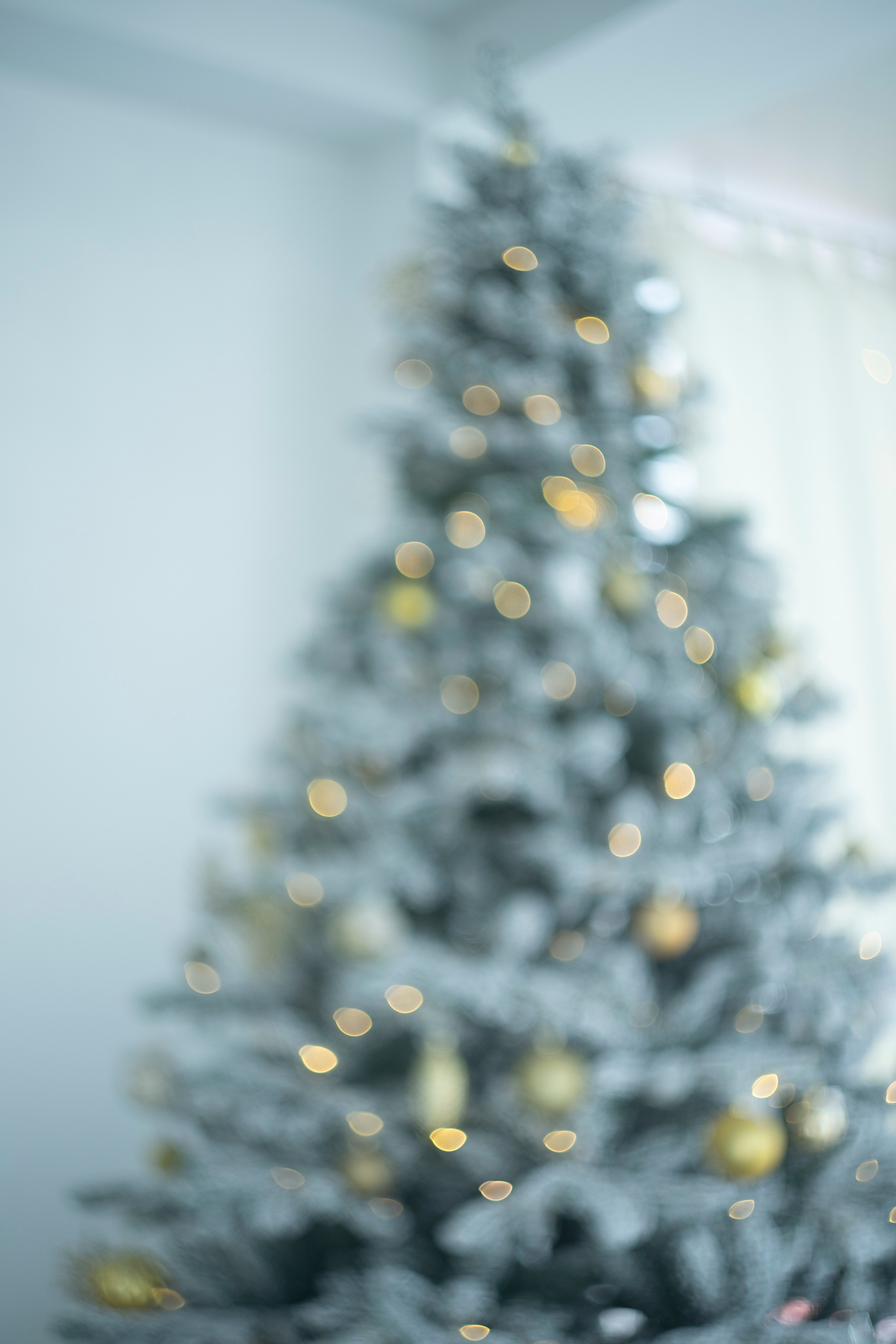 Фотограф в Улан-Удэ, низкие цены. Фотосъемка семейная, детская в городе. Фотограф в Улан-Удэ. Свадебный фотограф в Улан-Удэ