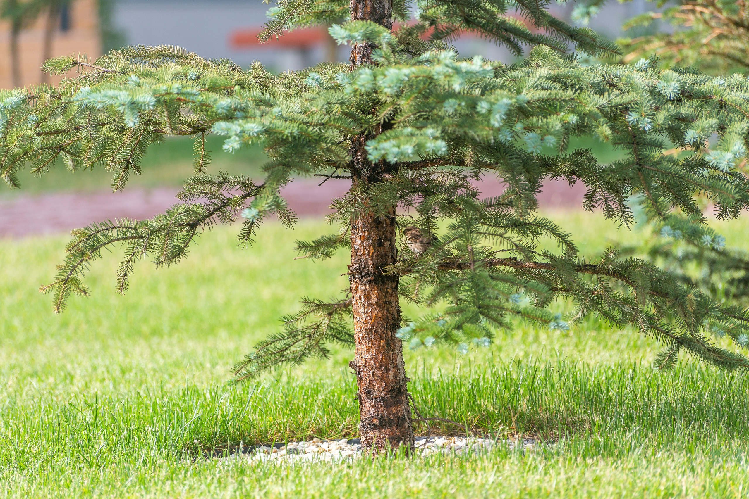 Жилой комплекс Малевич. Фотограф Алексей Зарецкий