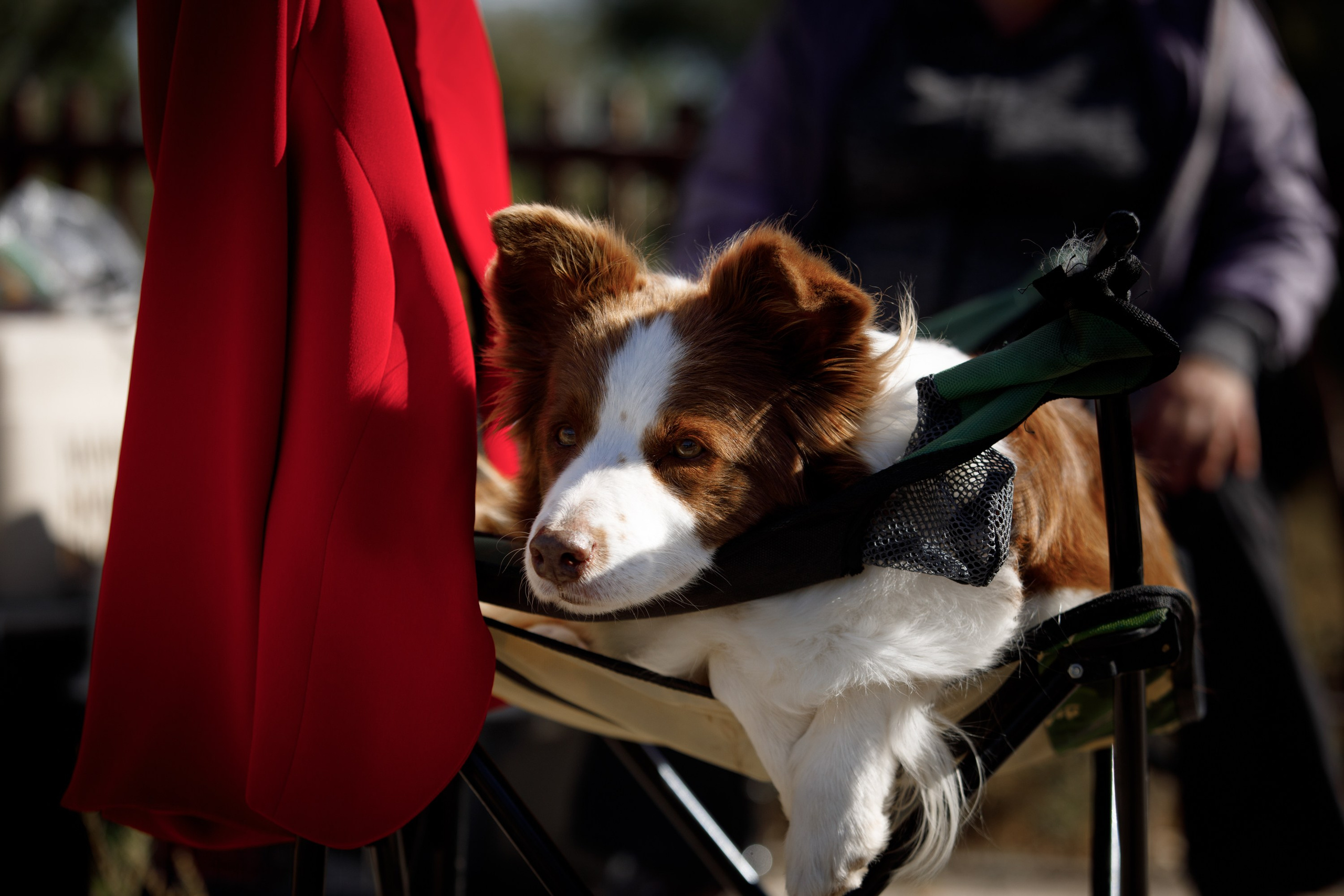 Водяные в Новотроицке. О нас