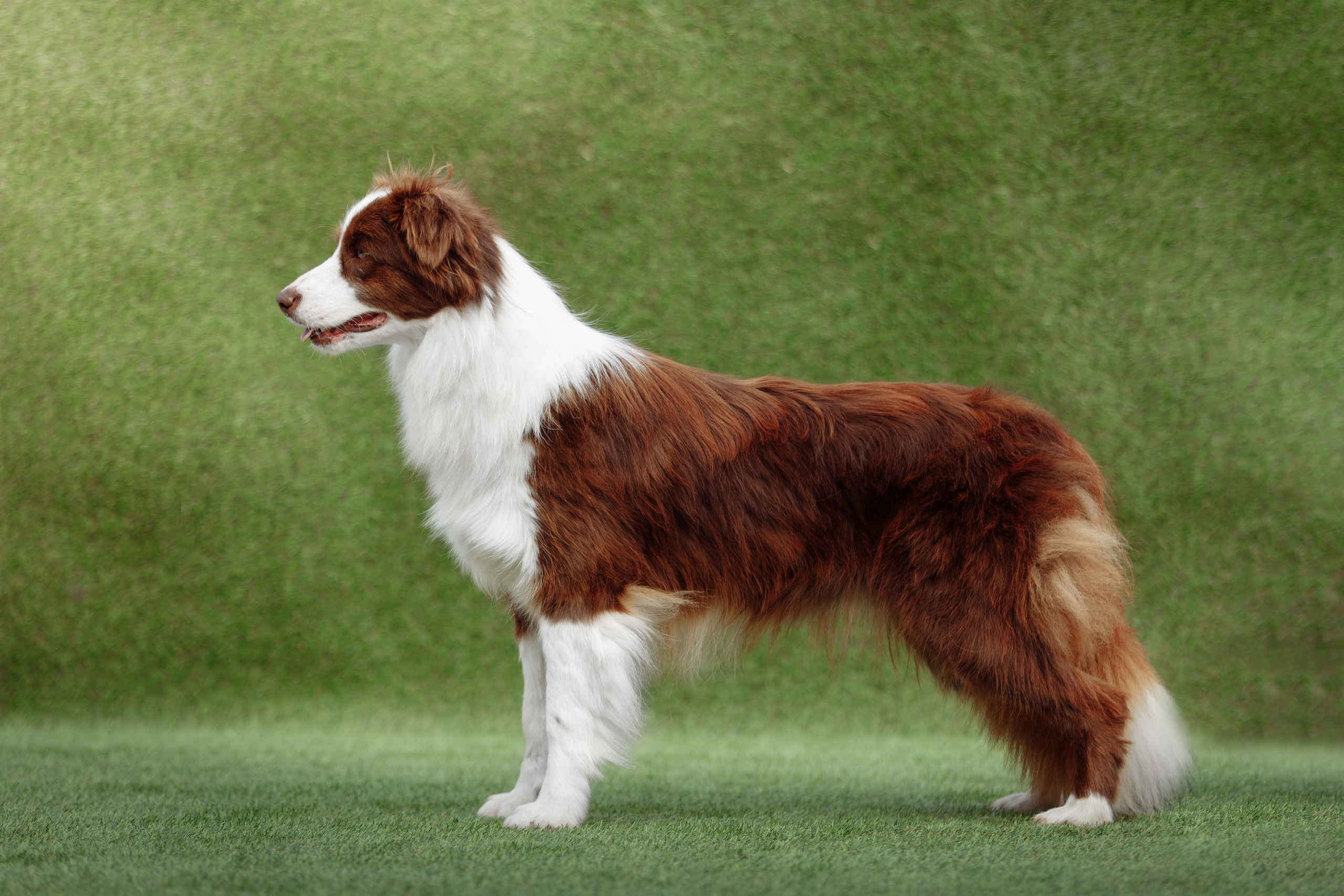 Свое место. О нас