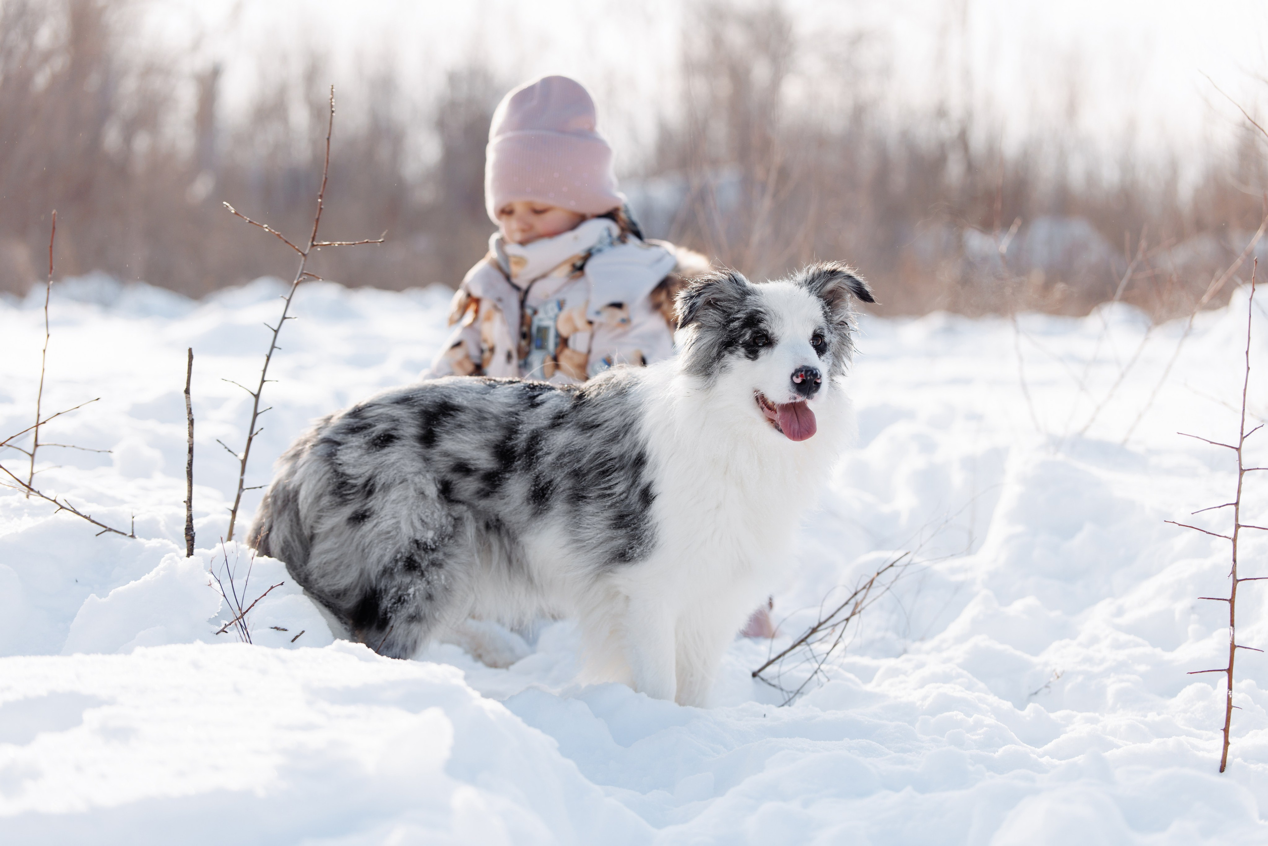 Яркий январь. О нас
