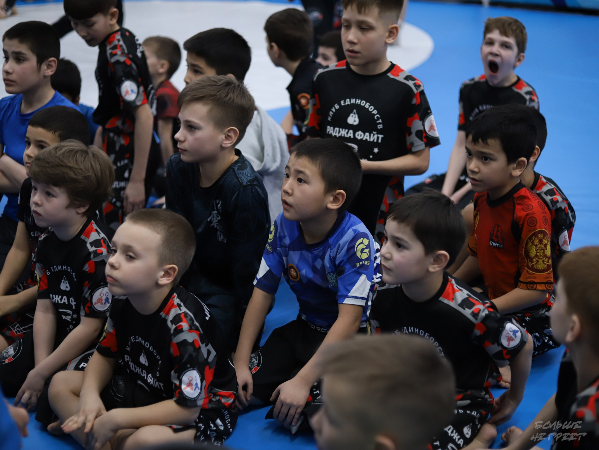 GORILLA PRIDE CUP. Больше не греет