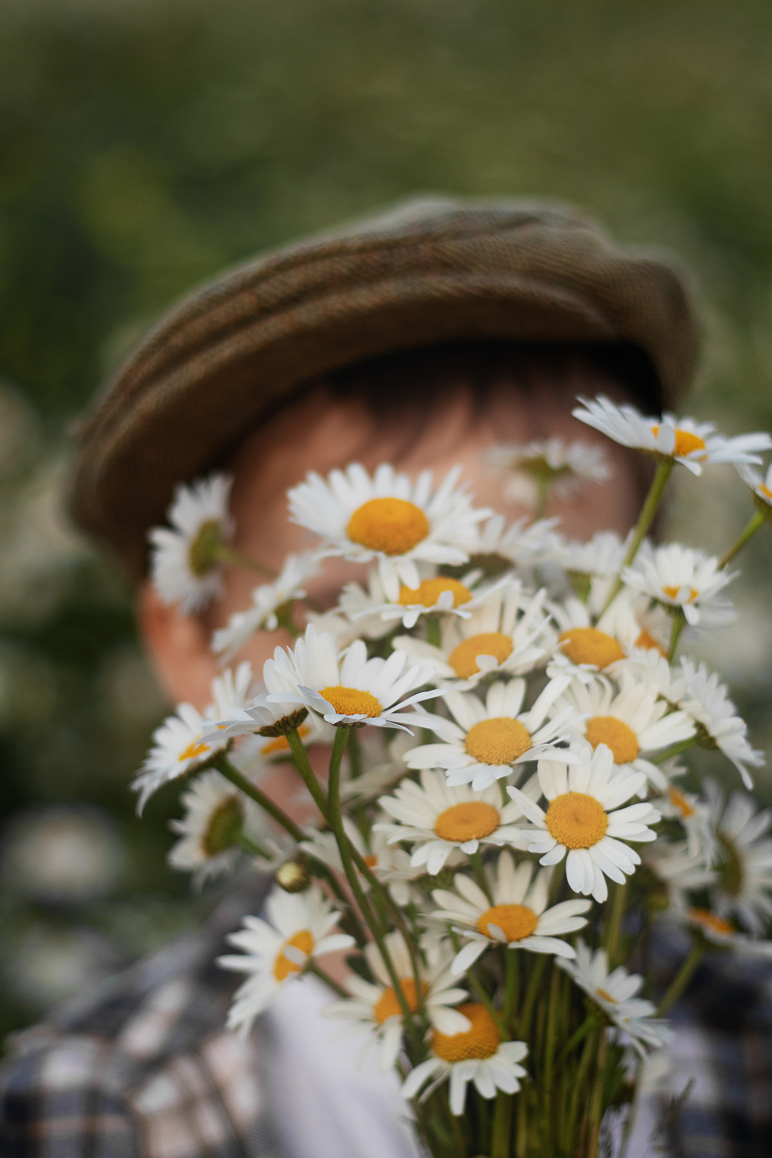 Ромашки. Контент-фотограф в Калининграде (Москве) Наталья Кеворкова