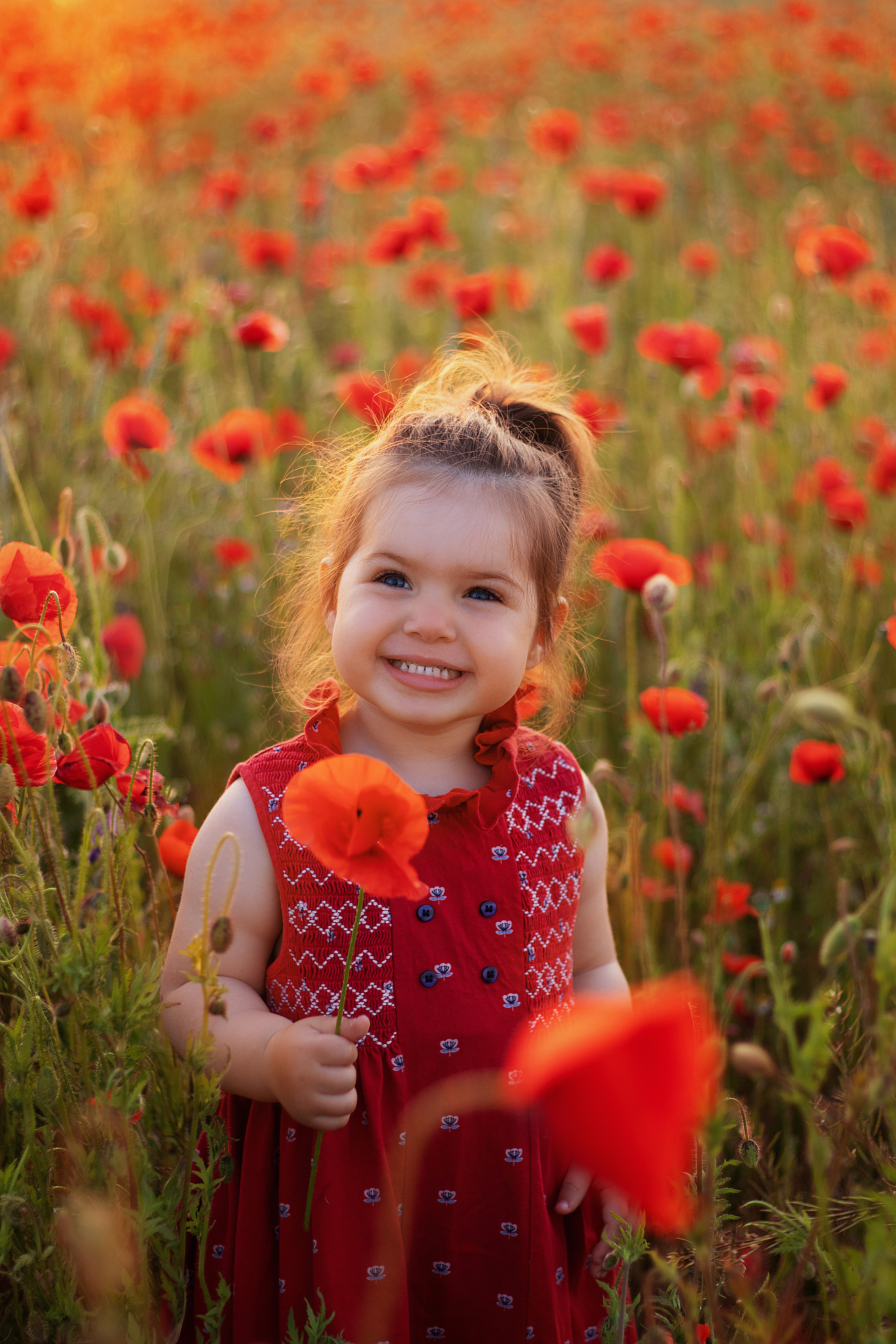 Маки. Контент-фотограф в Калининграде (Москве) Наталья Кеворкова