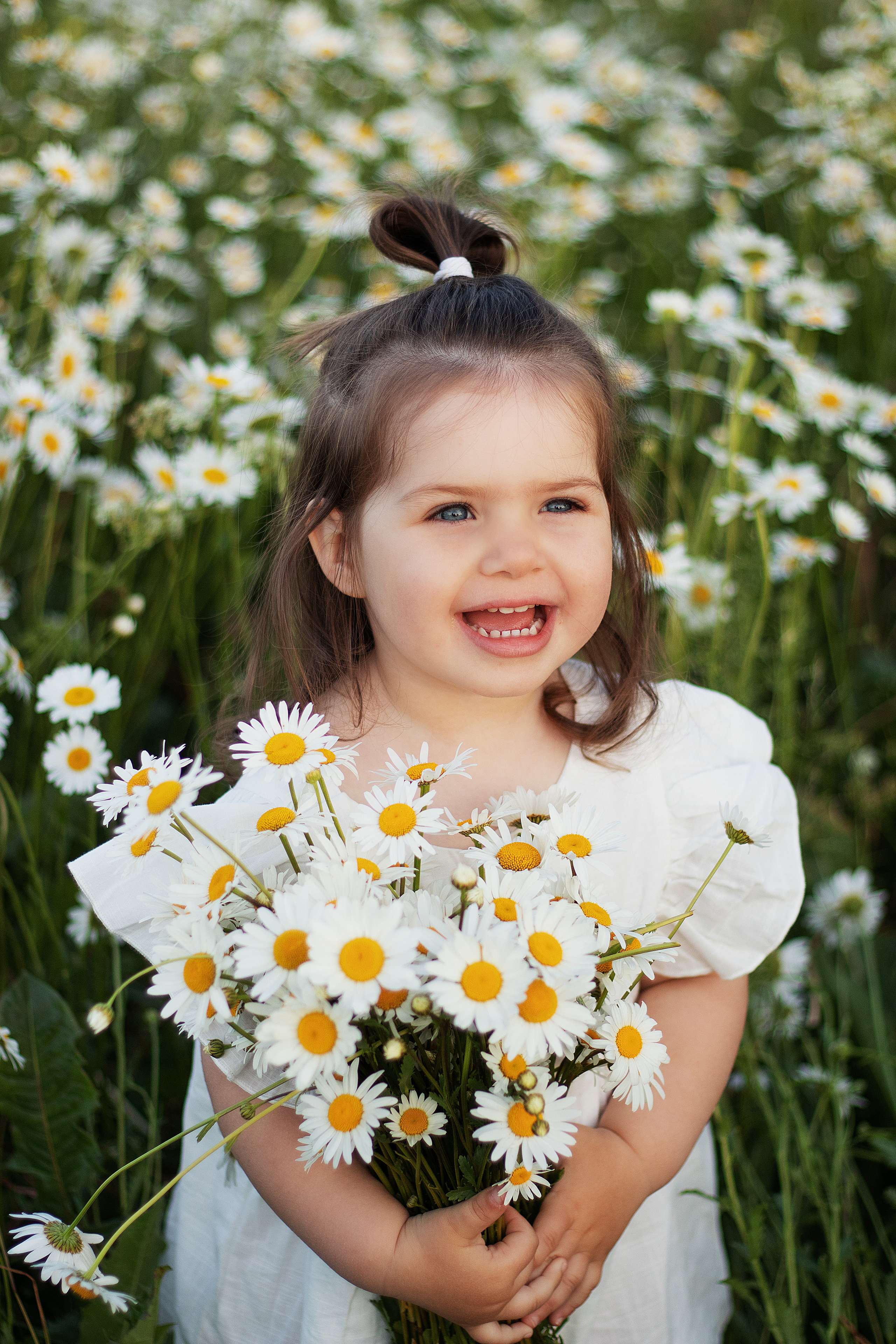 Ромашки. Контент-фотограф в Калининграде (Москве) Наталья Кеворкова