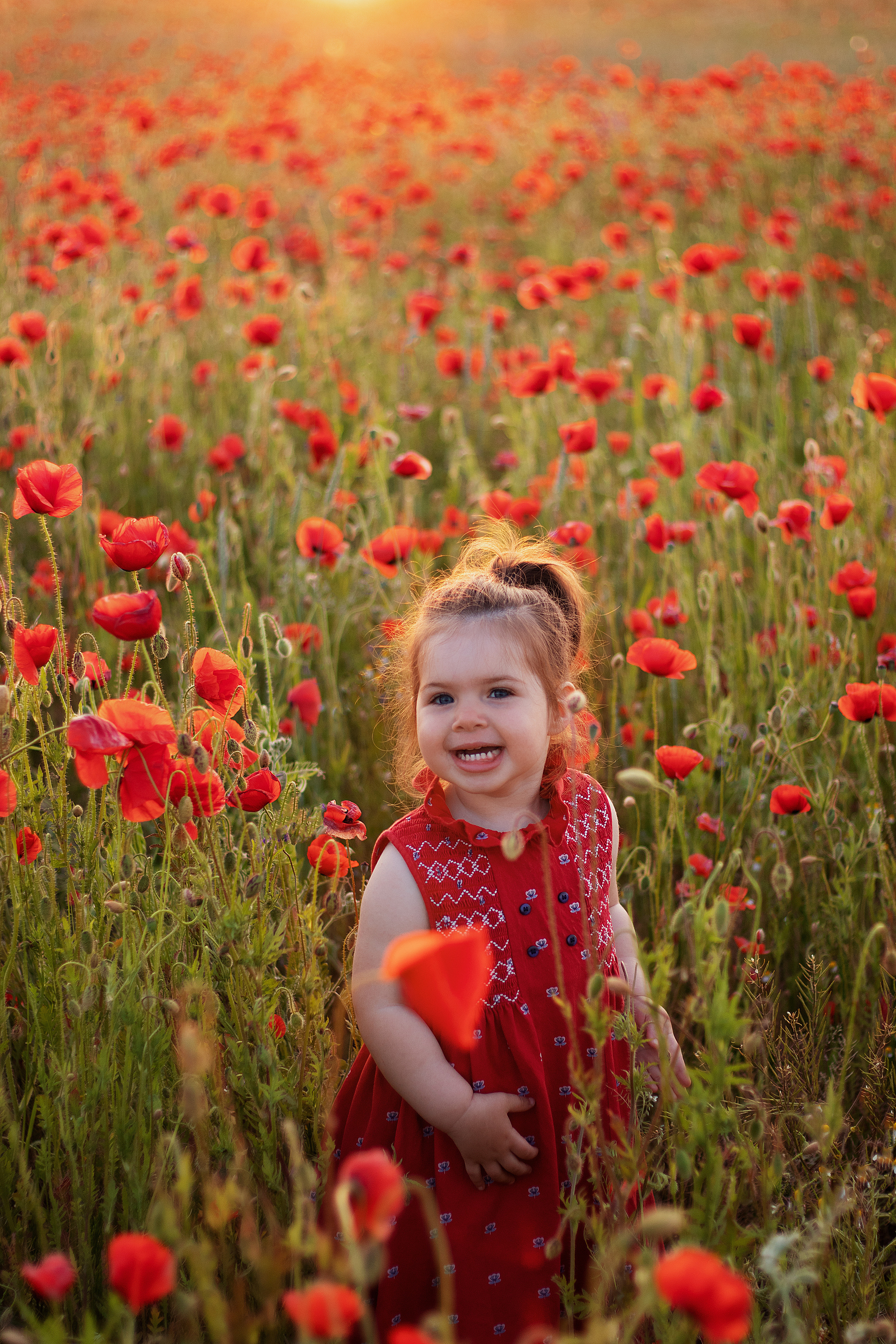 Маки. Контент-фотограф в Калининграде (Москве) Наталья Кеворкова