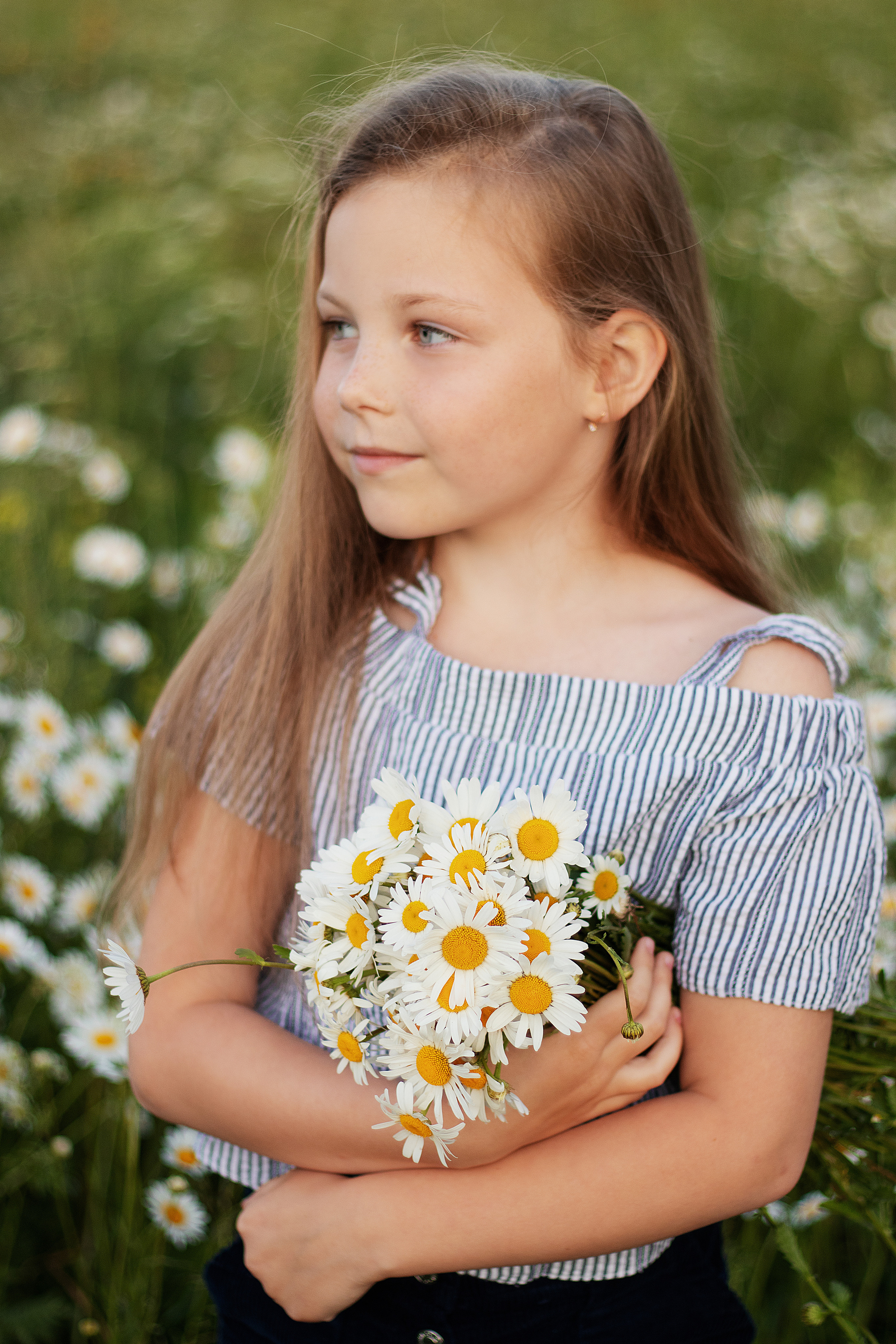 Ромашки. Контент-фотограф в Калининграде (Москве) Наталья Кеворкова
