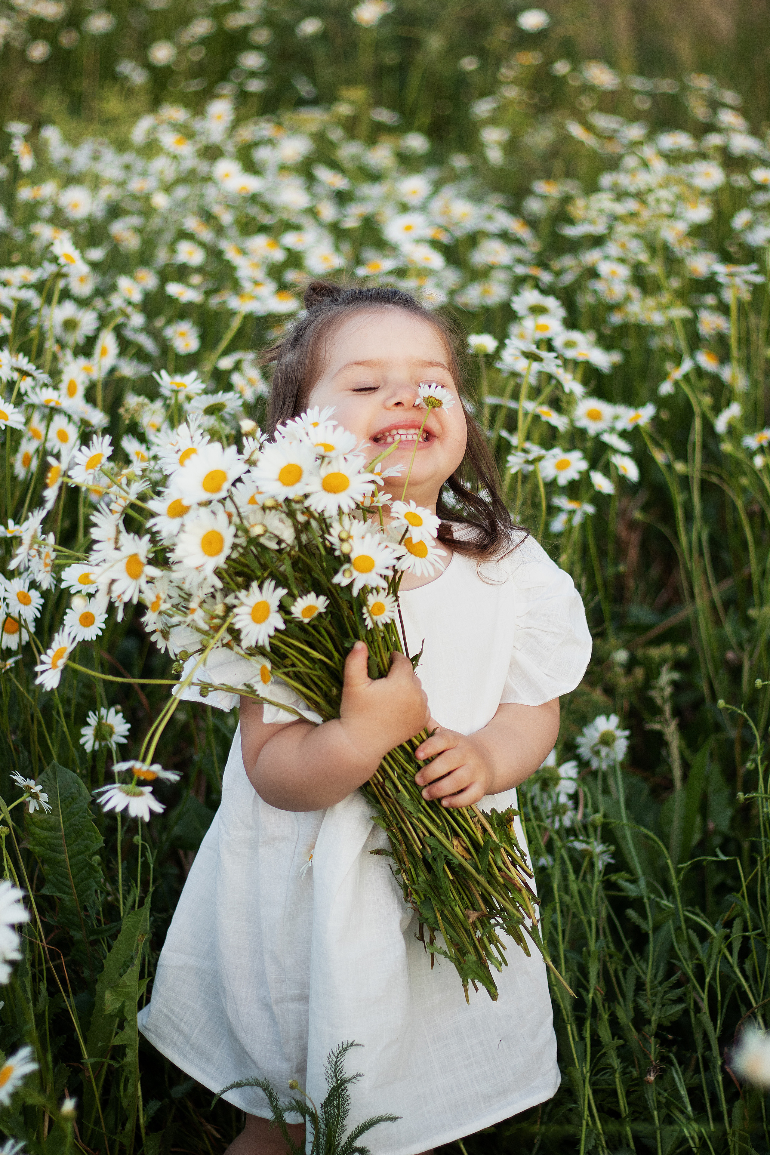 Ромашки. Контент-фотограф в Калининграде (Москве) Наталья Кеворкова