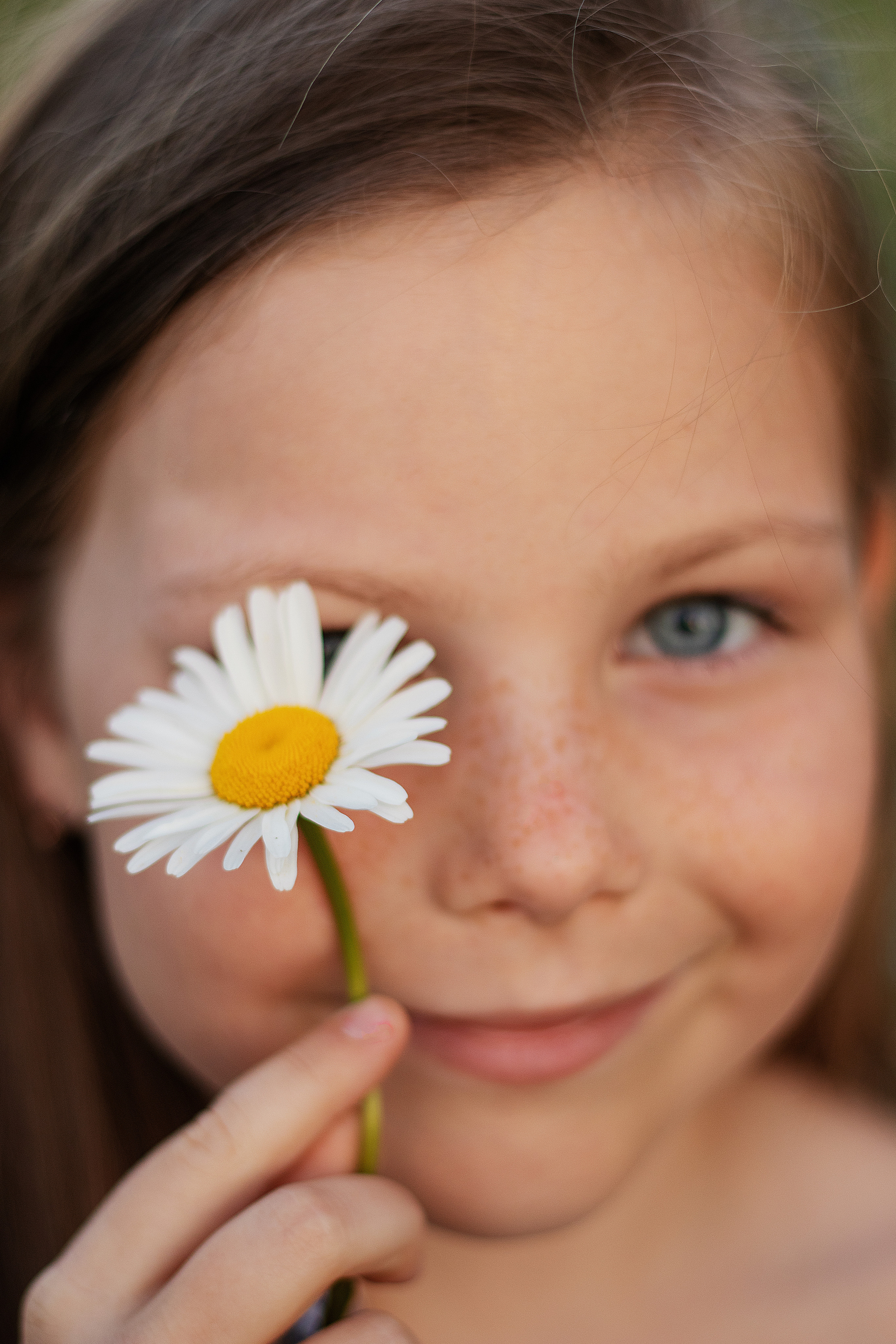 Ромашки. Контент-фотограф в Калининграде (Москве) Наталья Кеворкова