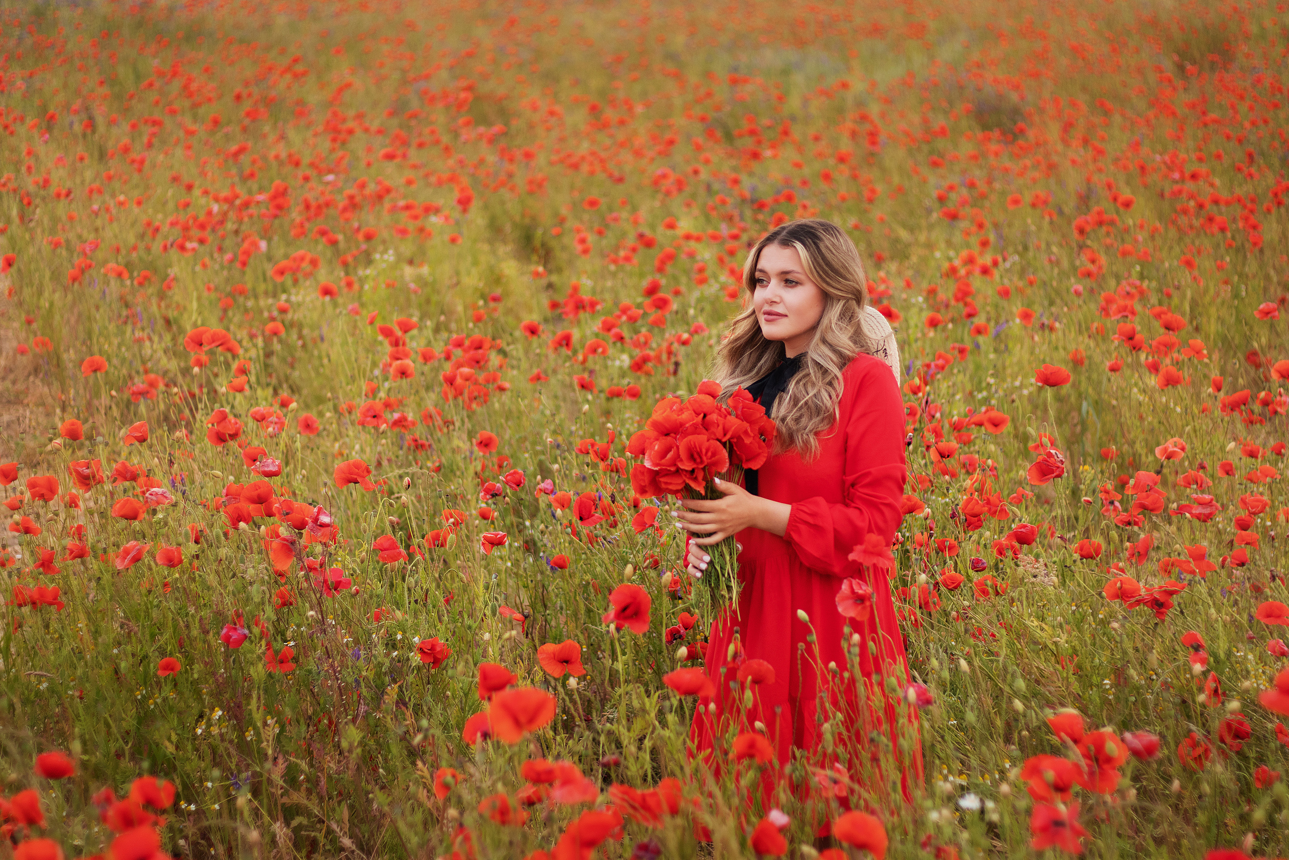 Маки. Контент-фотограф в Калининграде (Москве) Наталья Кеворкова