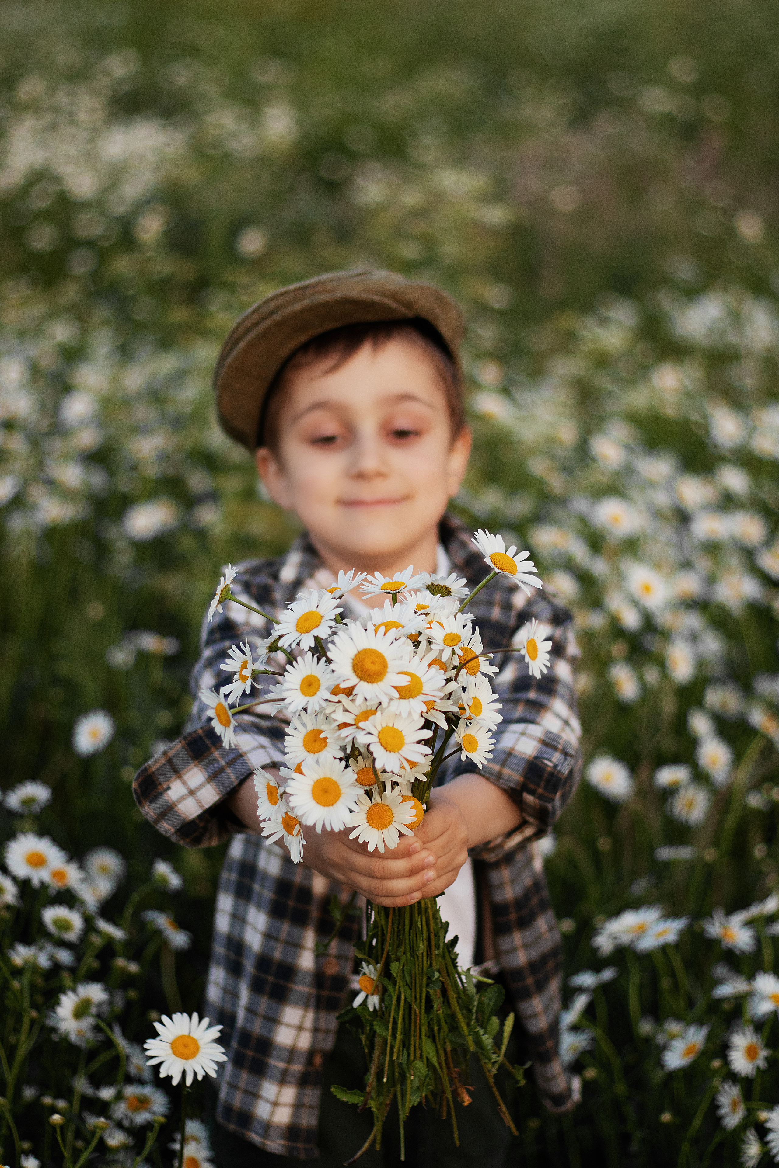 Ромашки. Контент-фотограф в Калининграде (Москве) Наталья Кеворкова