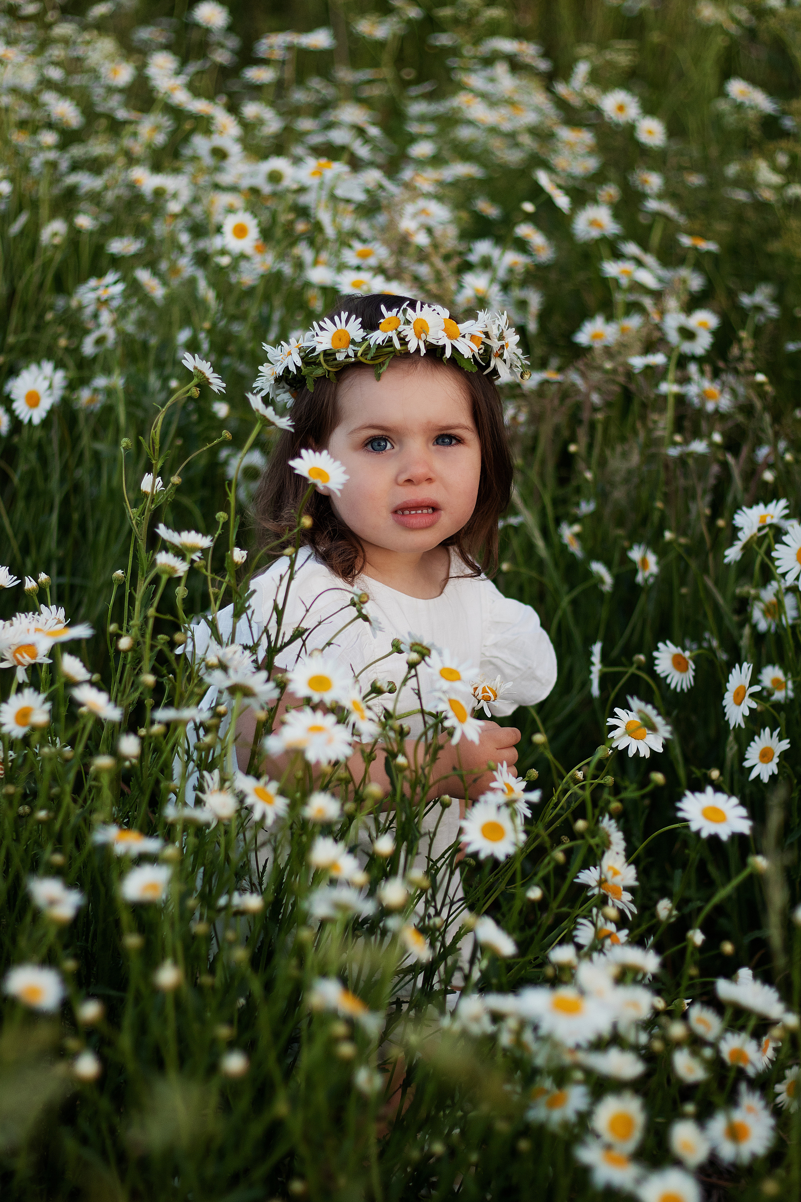 Ромашки. Контент-фотограф в Калининграде (Москве) Наталья Кеворкова