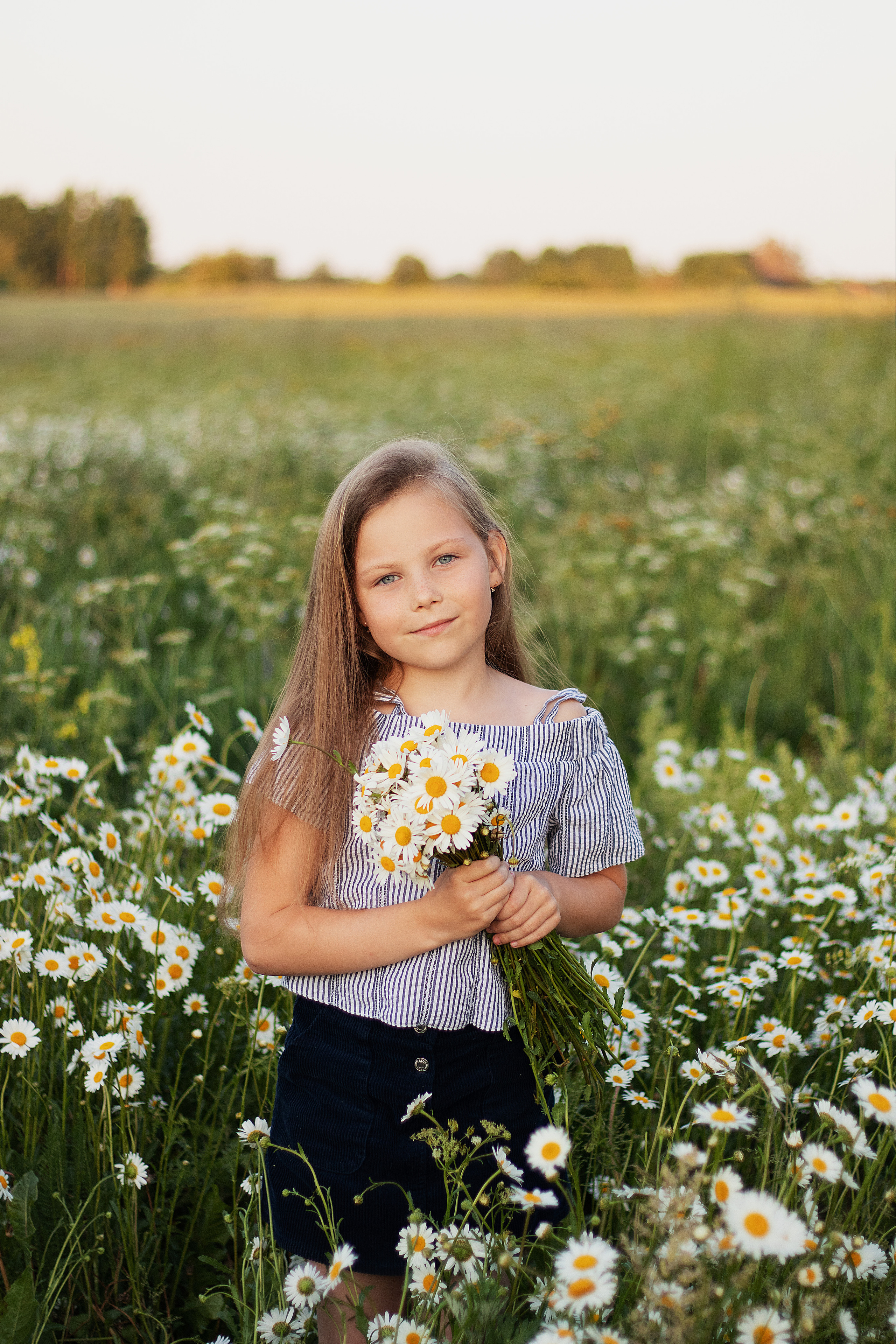 Ромашки. Контент-фотограф в Калининграде (Москве) Наталья Кеворкова