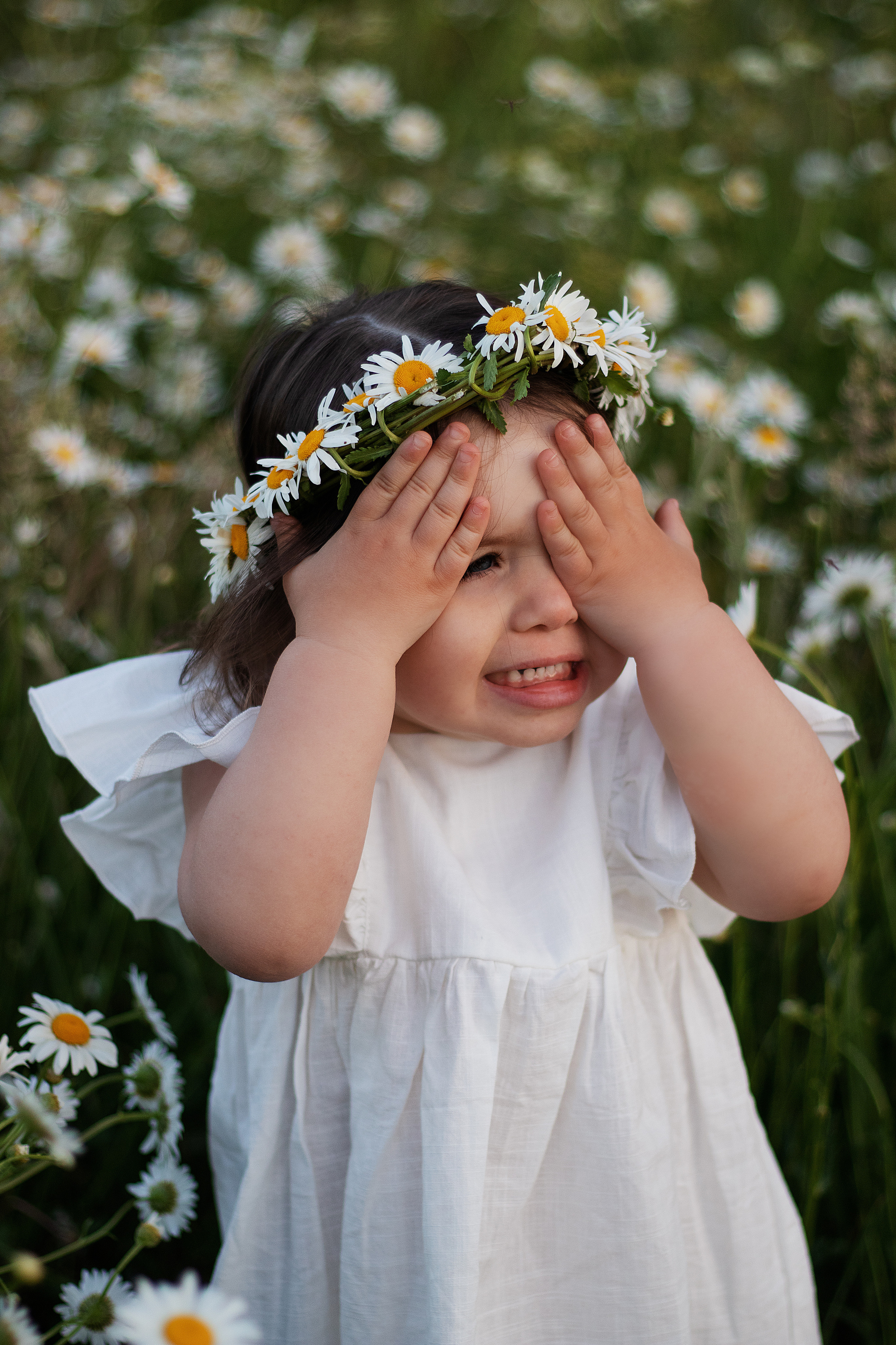 Ромашки. Контент-фотограф в Калининграде (Москве) Наталья Кеворкова