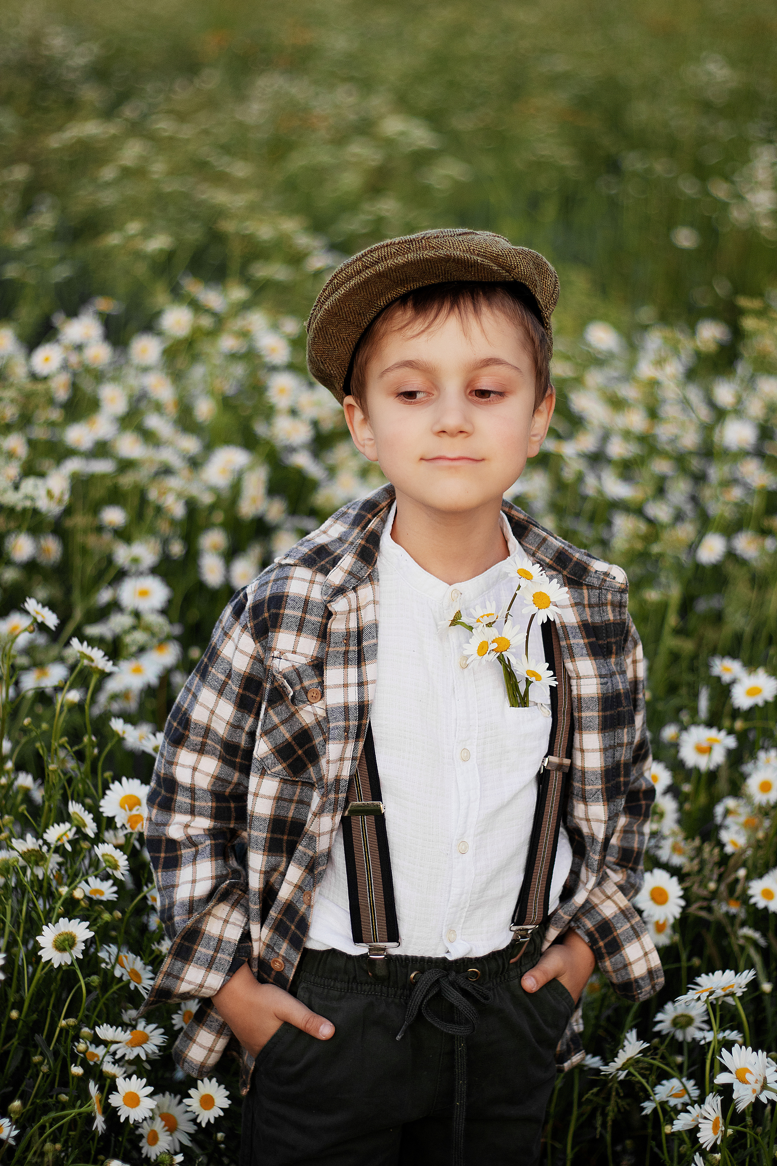 Ромашки. Контент-фотограф в Калининграде (Москве) Наталья Кеворкова