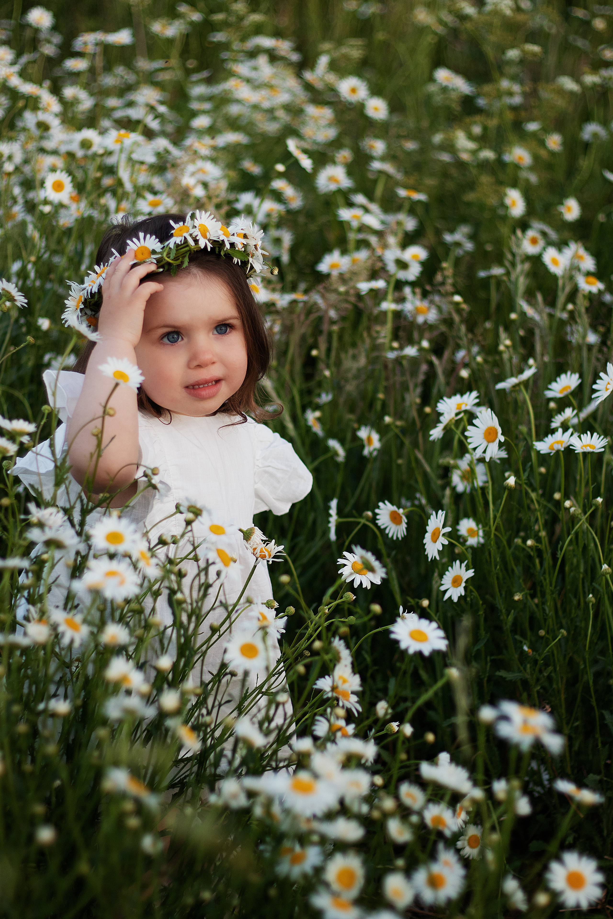 Ромашки. Контент-фотограф в Калининграде (Москве) Наталья Кеворкова