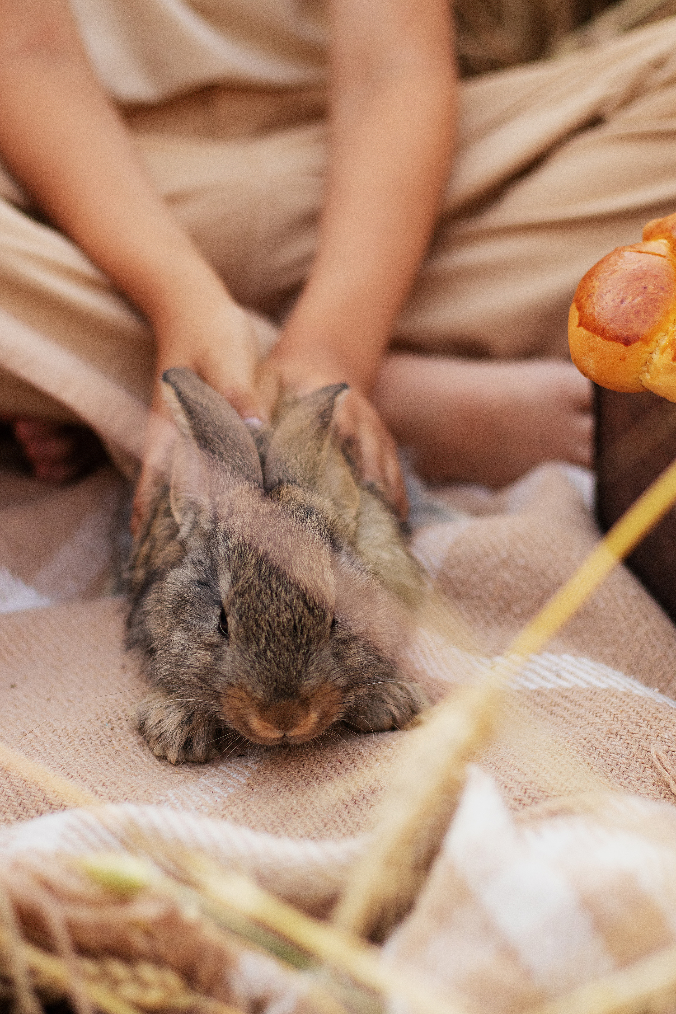 Злаки. Контент-фотограф в Калининграде (Москве) Наталья Кеворкова