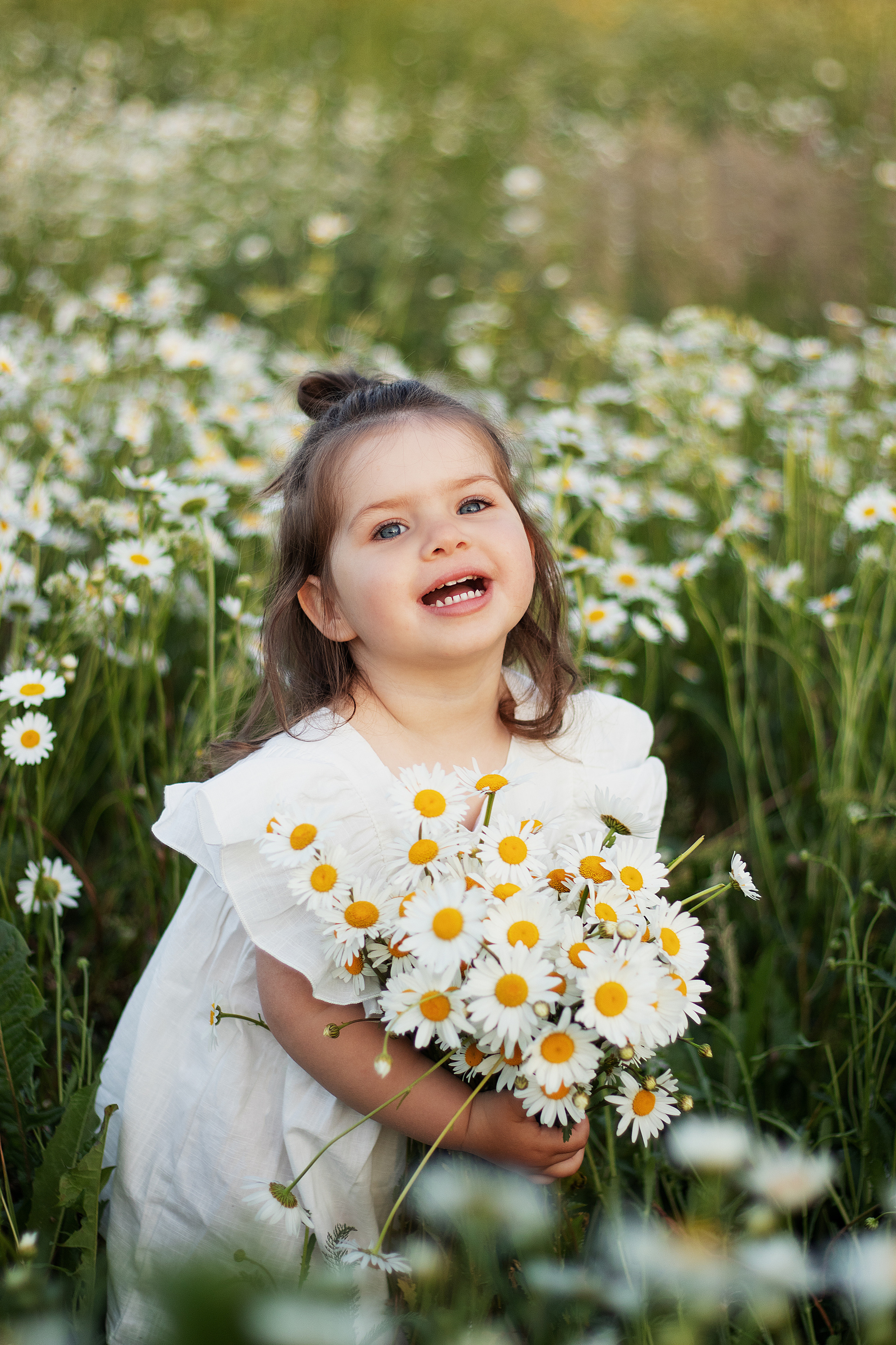 Ромашки. Контент-фотограф в Калининграде (Москве) Наталья Кеворкова