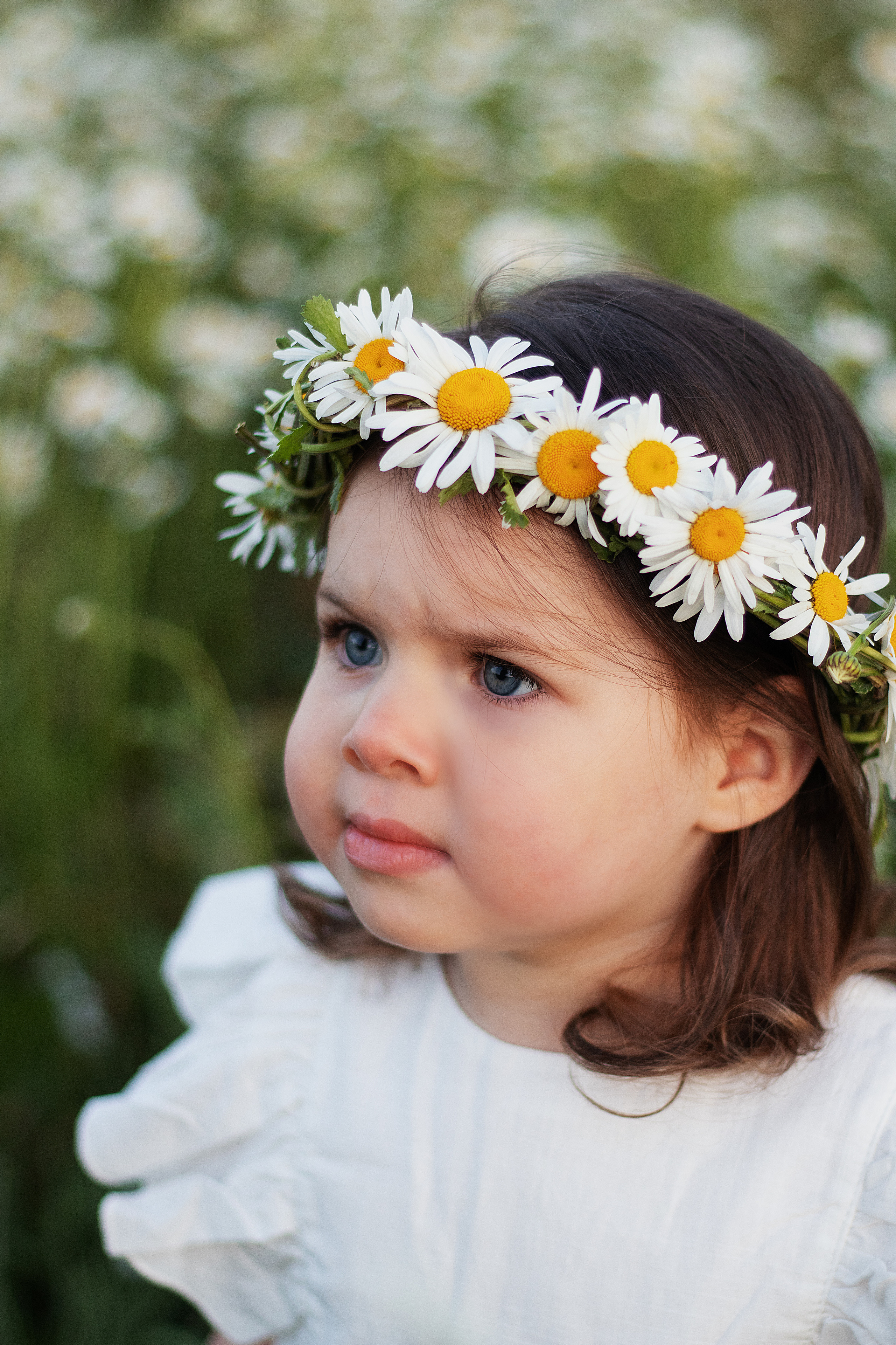 Ромашки. Контент-фотограф в Калининграде (Москве) Наталья Кеворкова