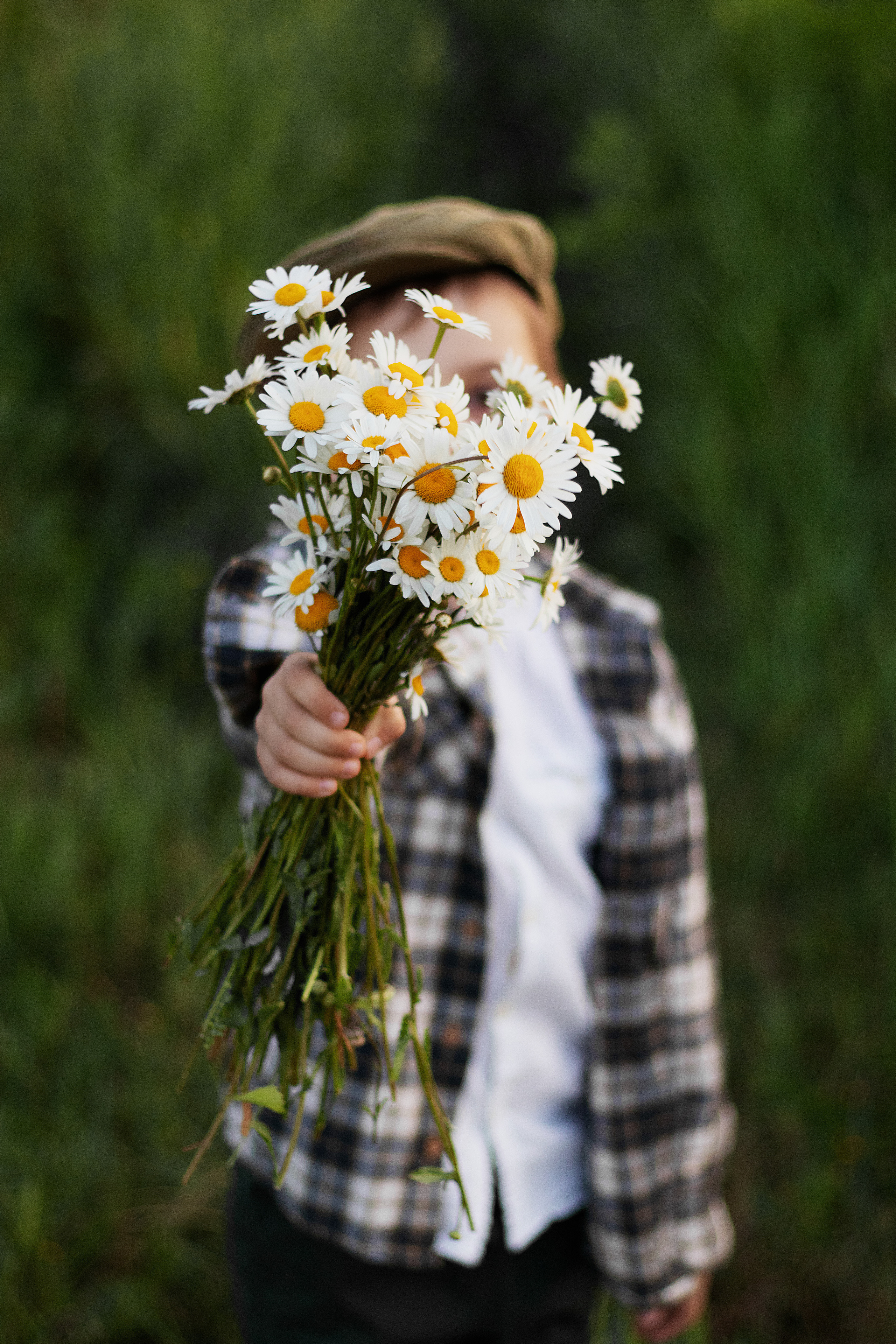 Ромашки. Контент-фотограф в Калининграде (Москве) Наталья Кеворкова